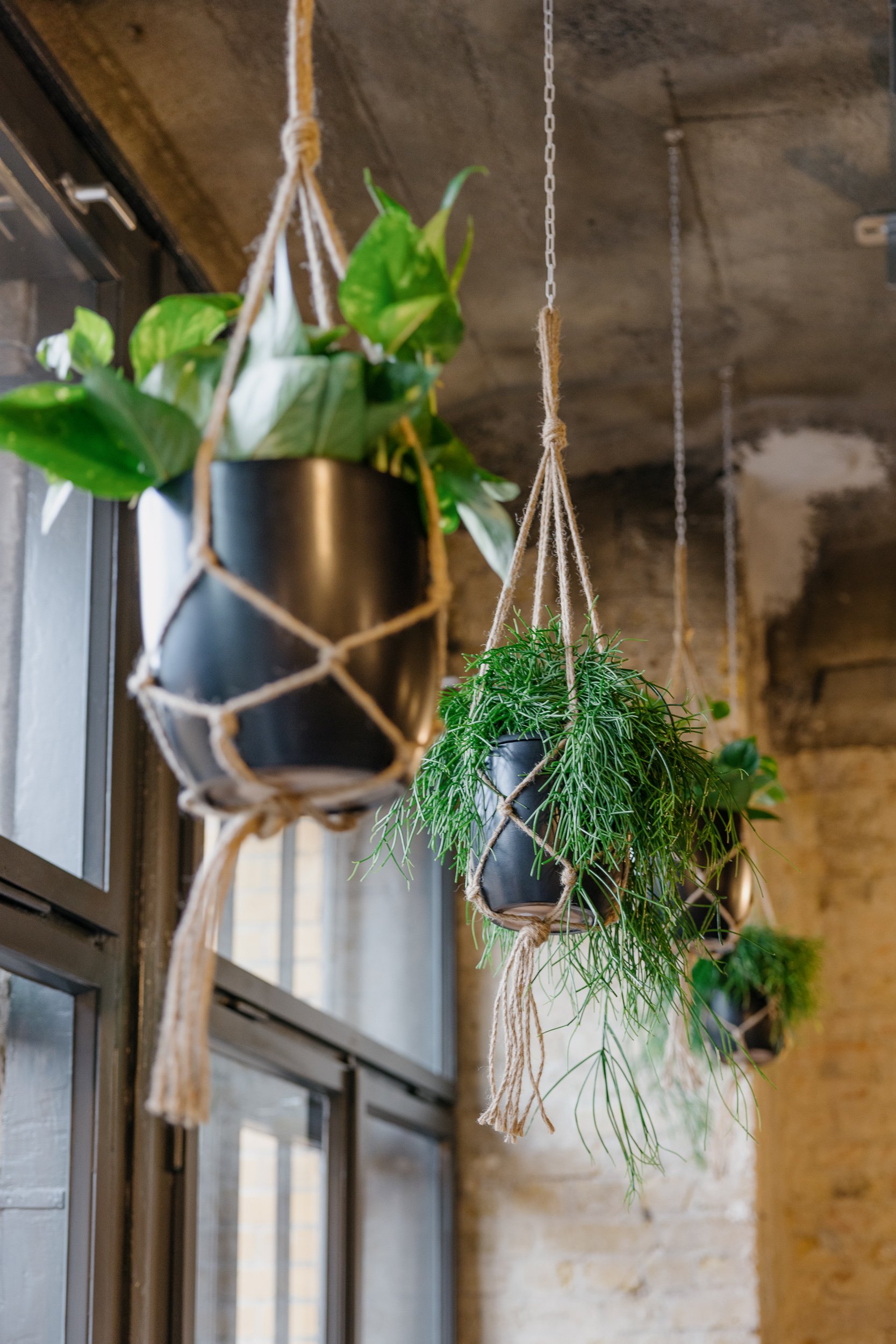 Techspace-eiswerk-coworking-berlin-interior-HEJM-6973.jpg