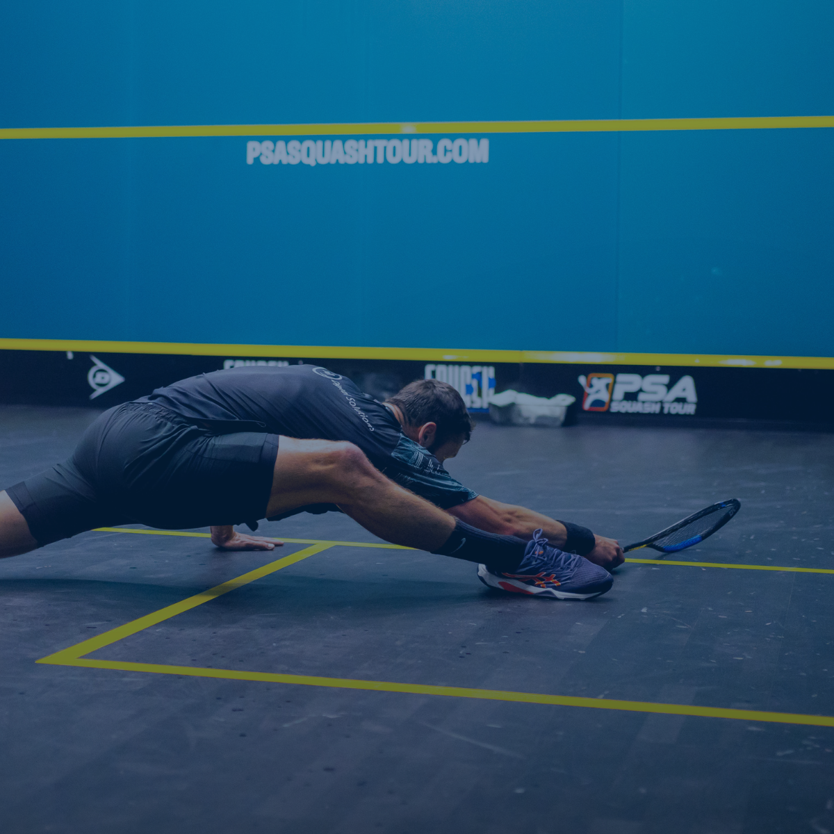 WORLD SQUASH: Evolution of Structured Certification