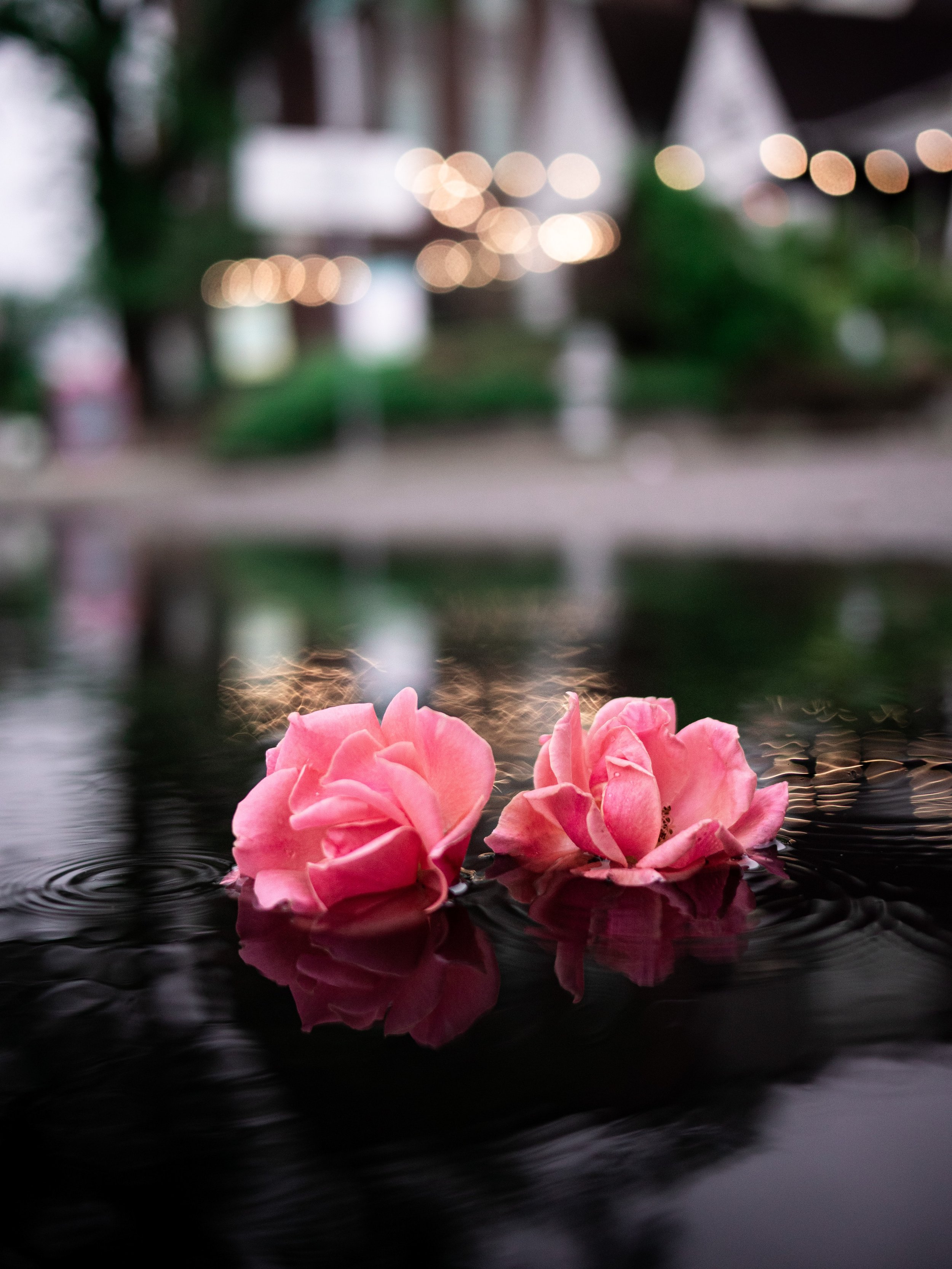 First Quarter Moon in Libra GUided Bath Ritual 7/6/2022