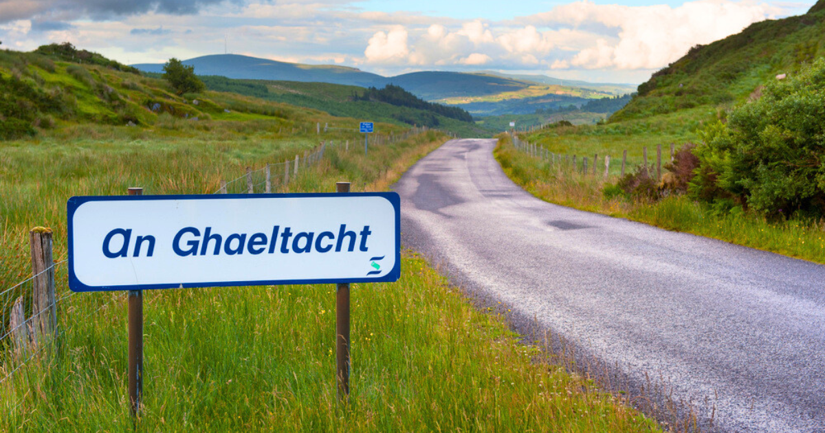 Design the perfect Gaelscoil Hoodie today