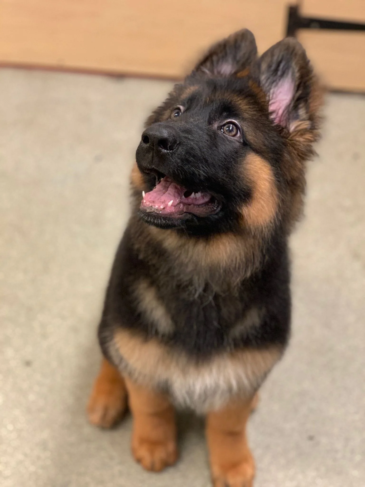 WhatsApp Image 2022-01-28 at 11.21.08.jpeg