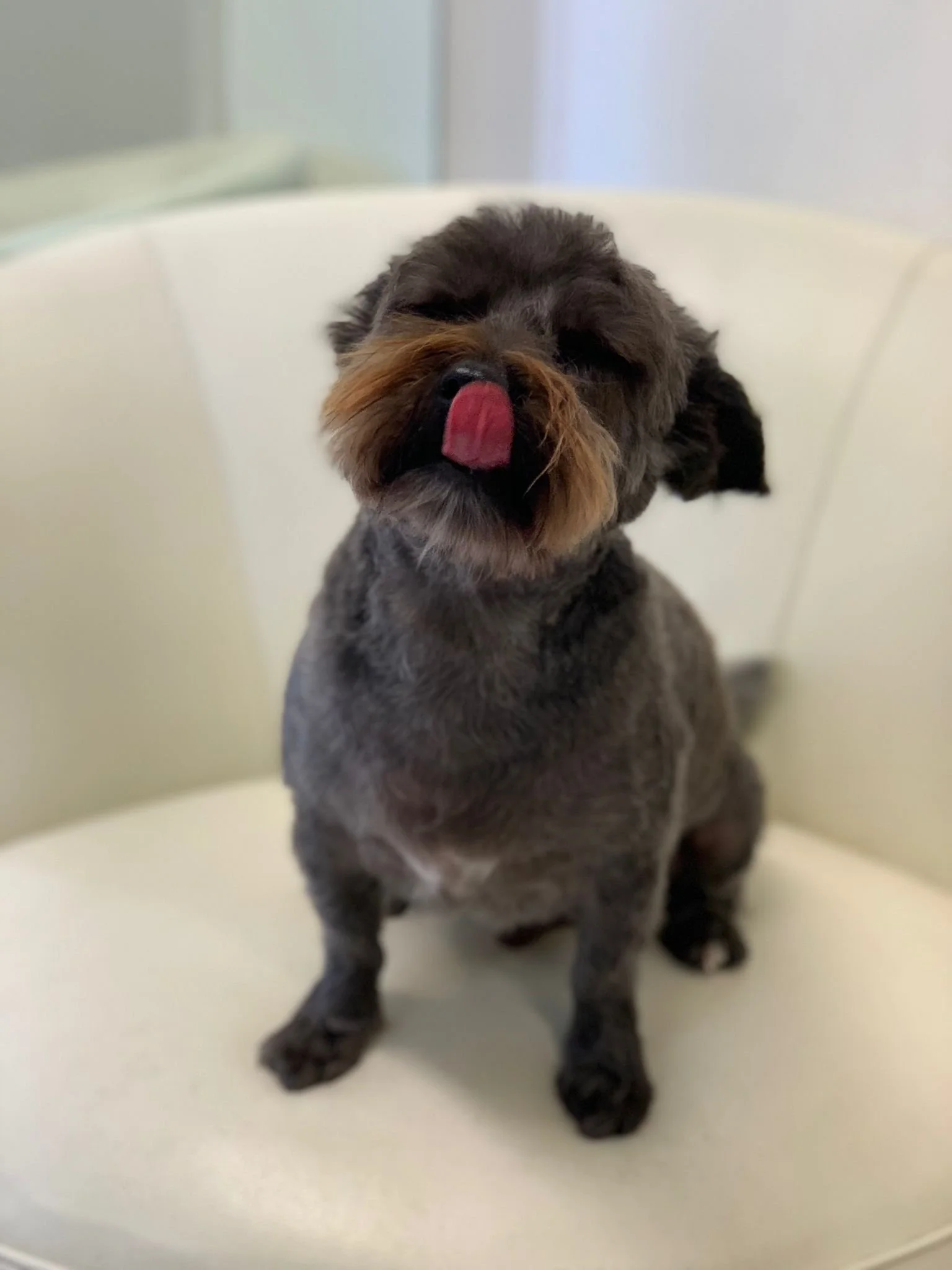 WhatsApp Image 2022-01-28 at 11.21.42.jpeg