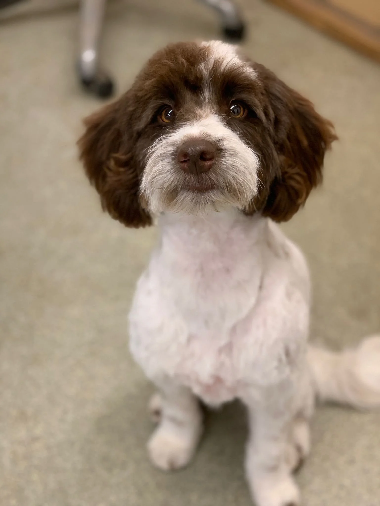 WhatsApp Image 2022-01-28 at 11.21.31.jpeg