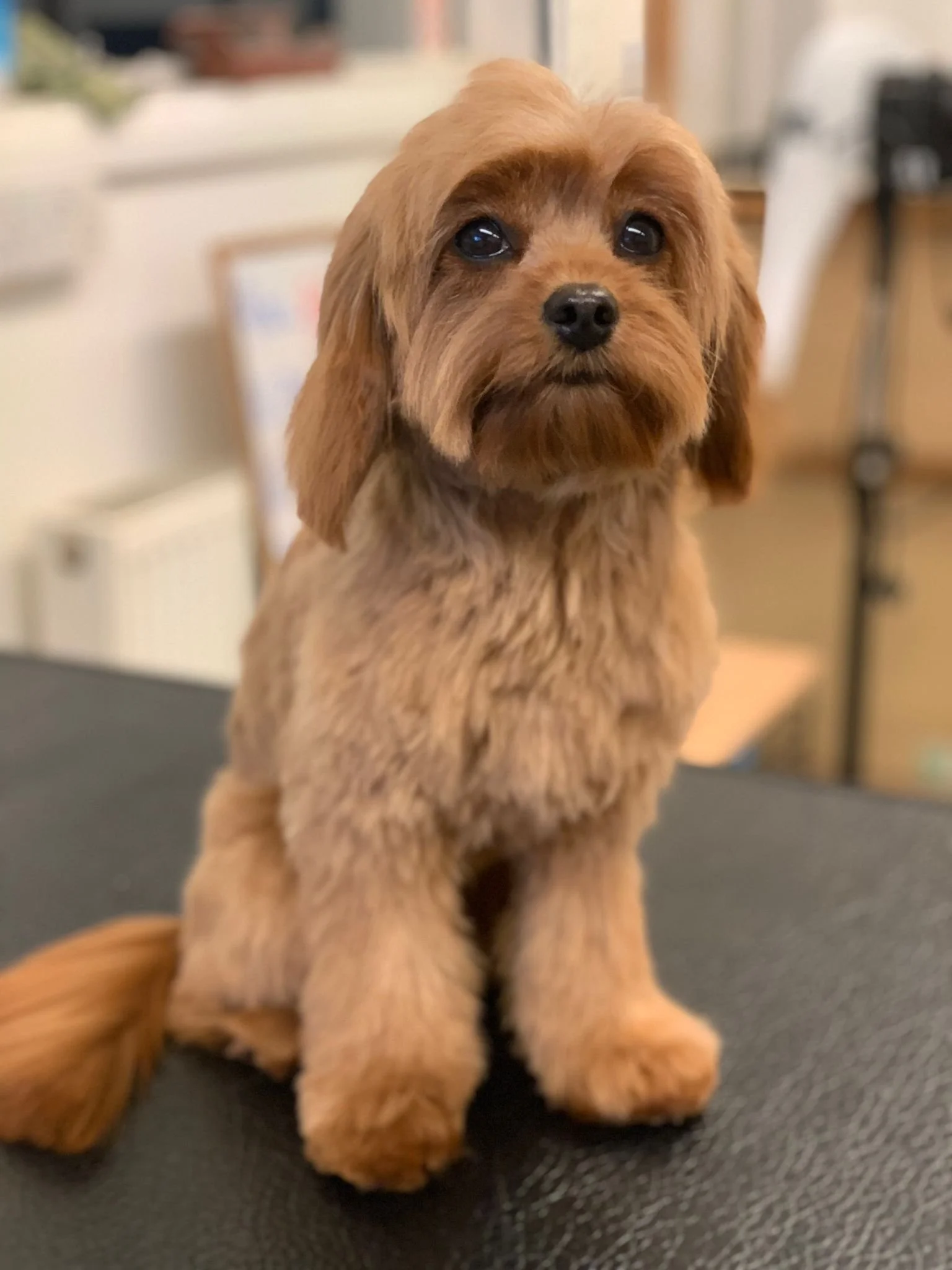 WhatsApp Image 2022-01-28 at 11.20.19.jpeg