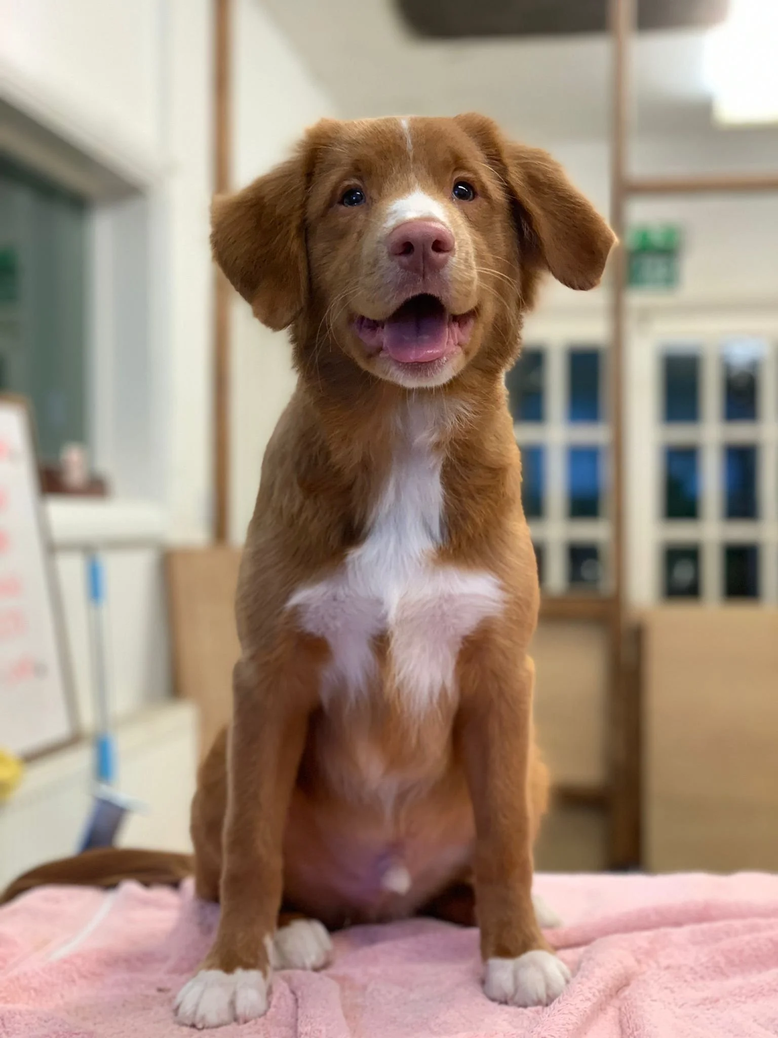 WhatsApp Image 2022-01-28 at 11.20.09.jpeg