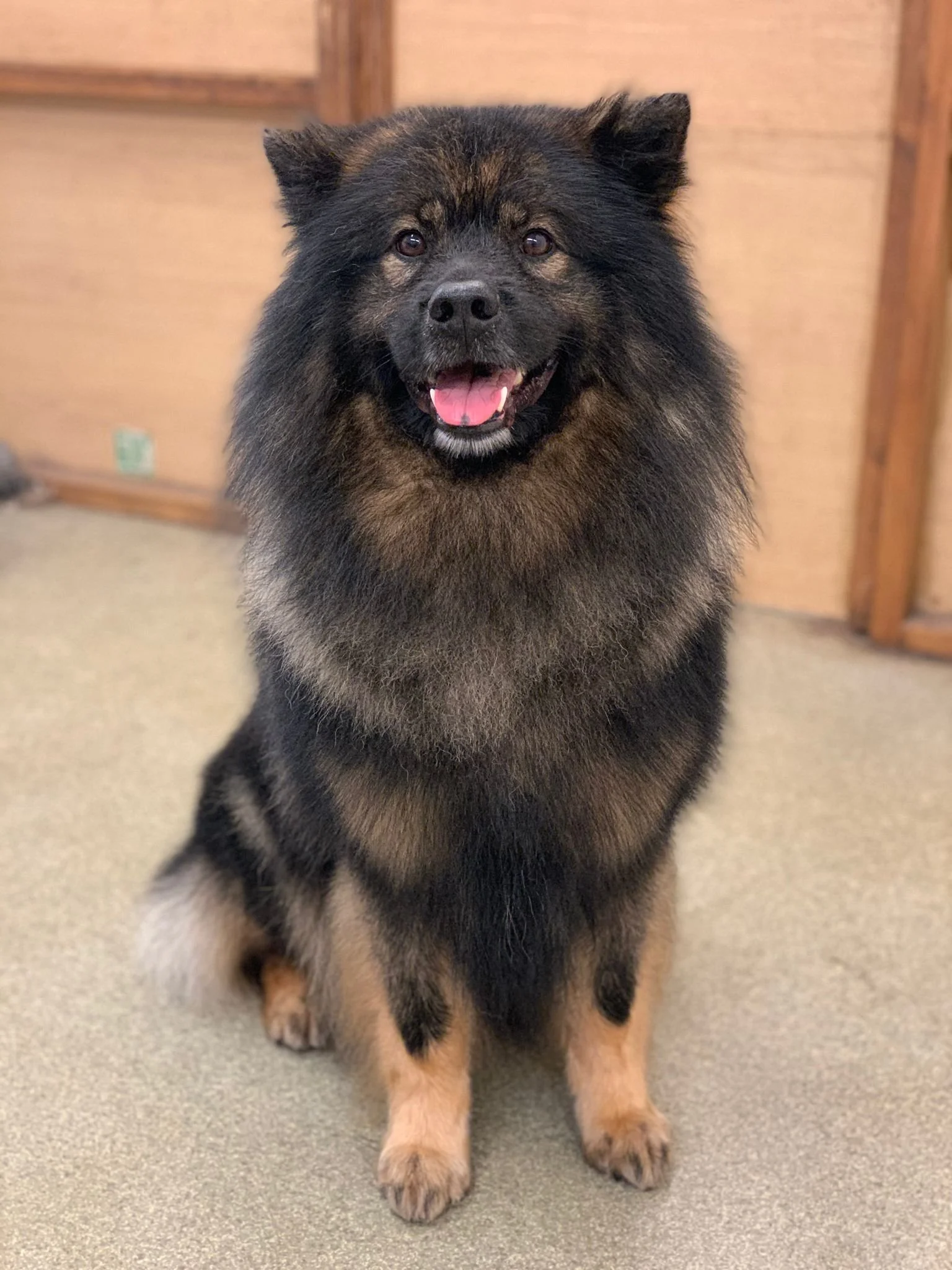 WhatsApp Image 2022-01-28 at 11.21.21.jpeg