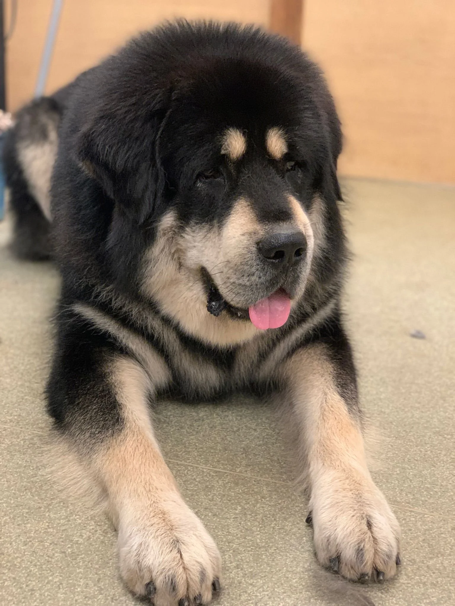 WhatsApp Image 2022-01-28 at 11.20.46.jpeg