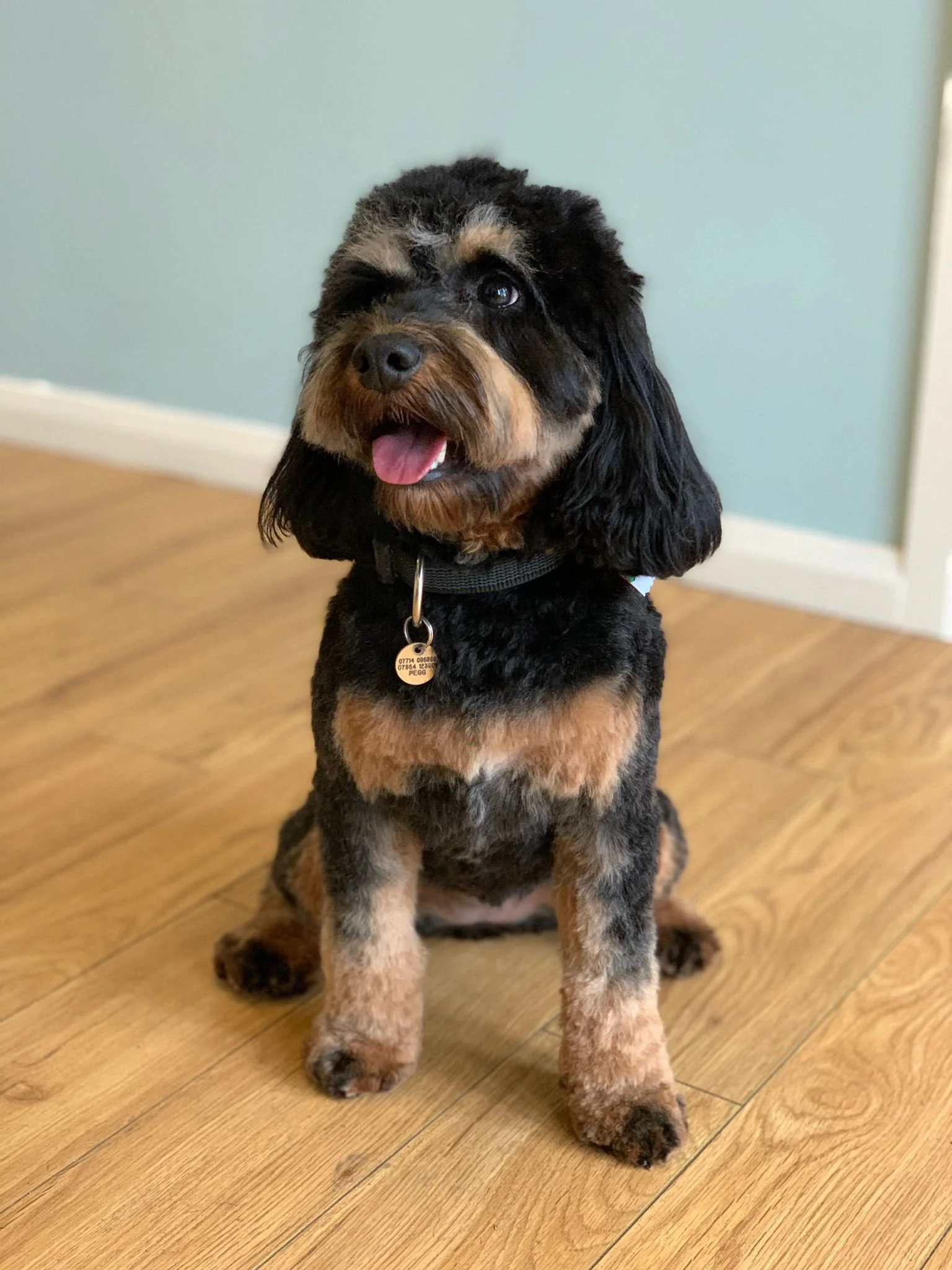 WhatsApp Image 2022-01-28 at 11.19.56.jpeg