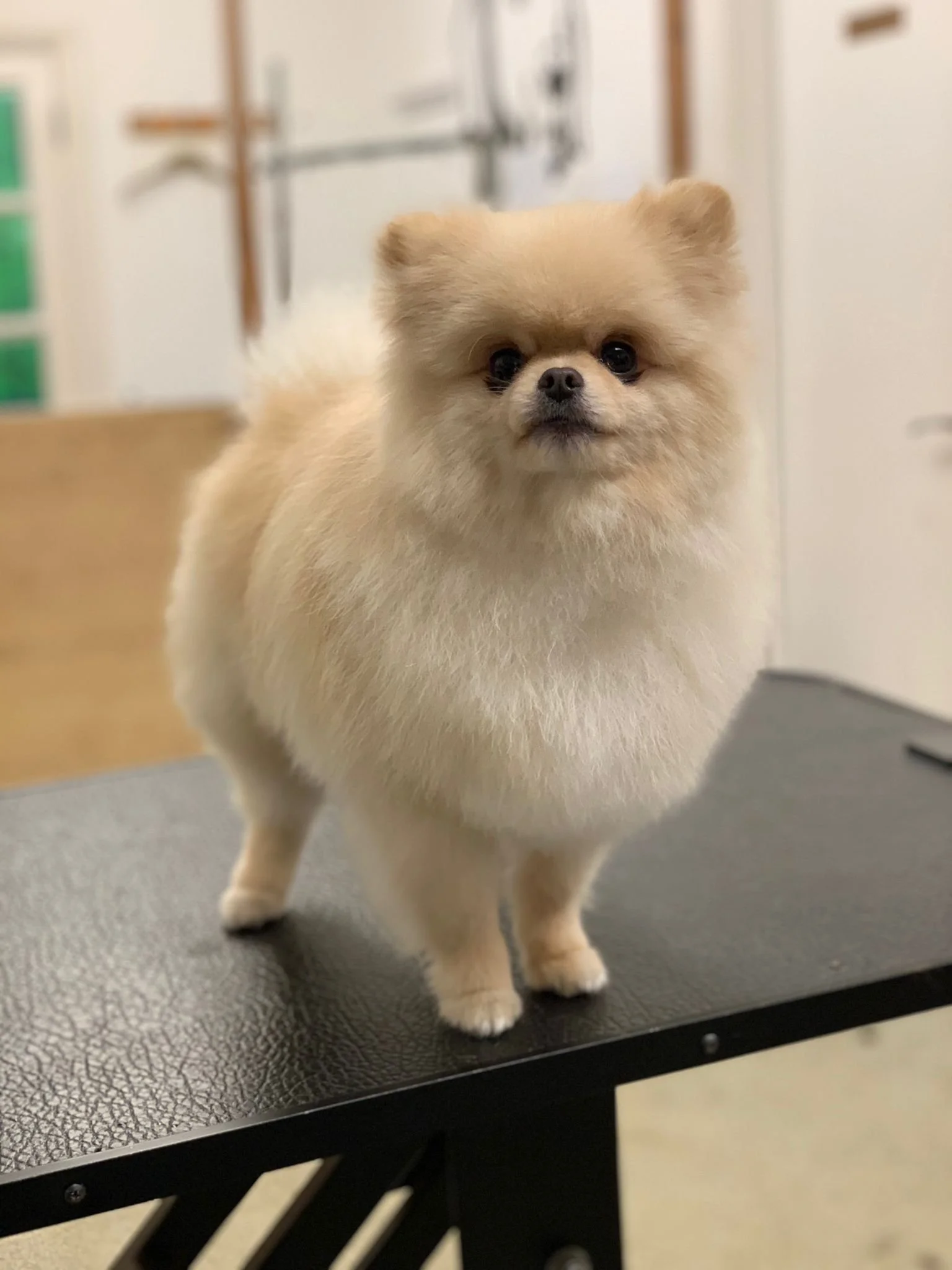 WhatsApp Image 2022-01-28 at 11.20.56.jpeg