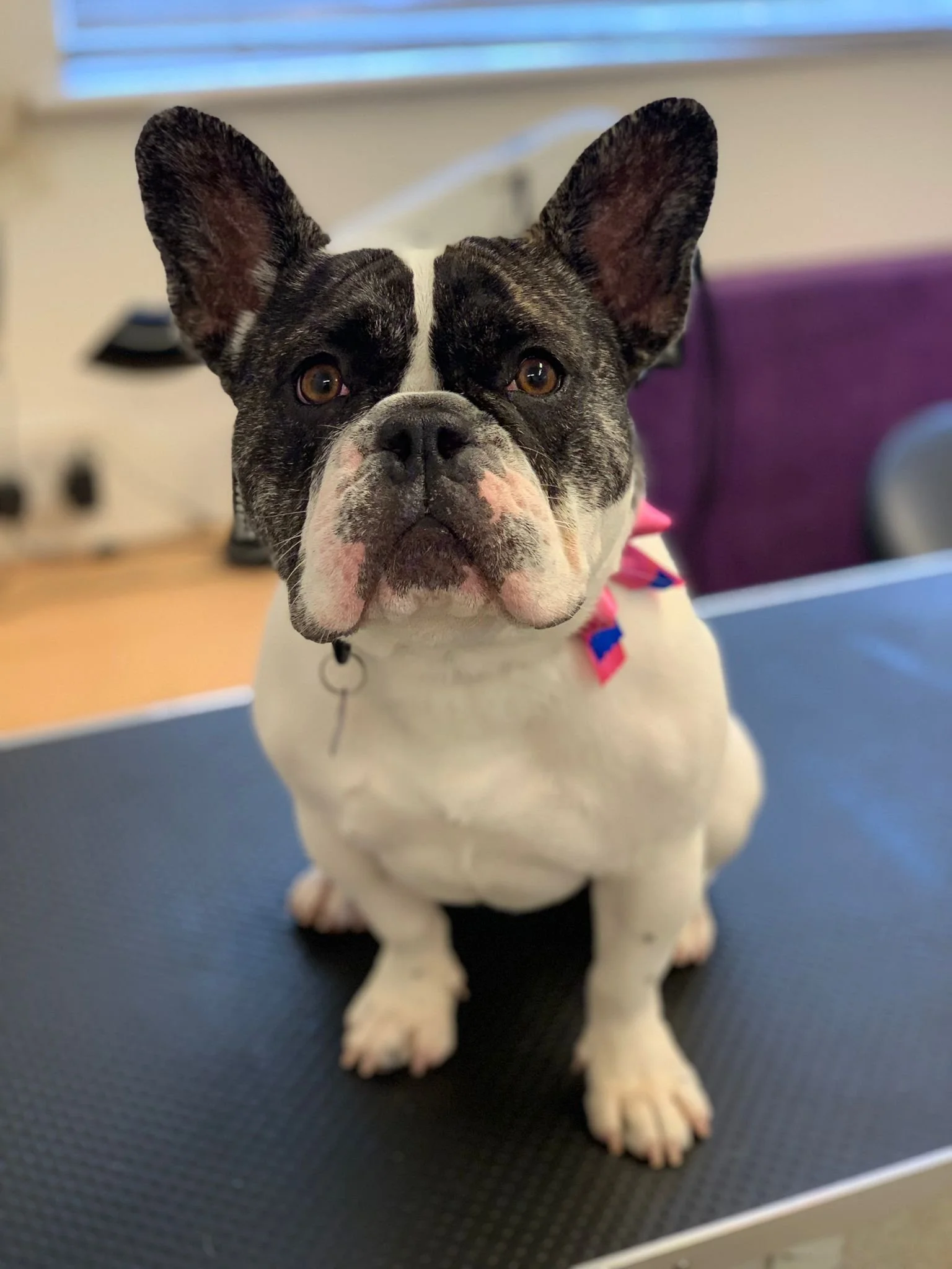 WhatsApp Image 2022-01-28 at 11.20.31.jpeg