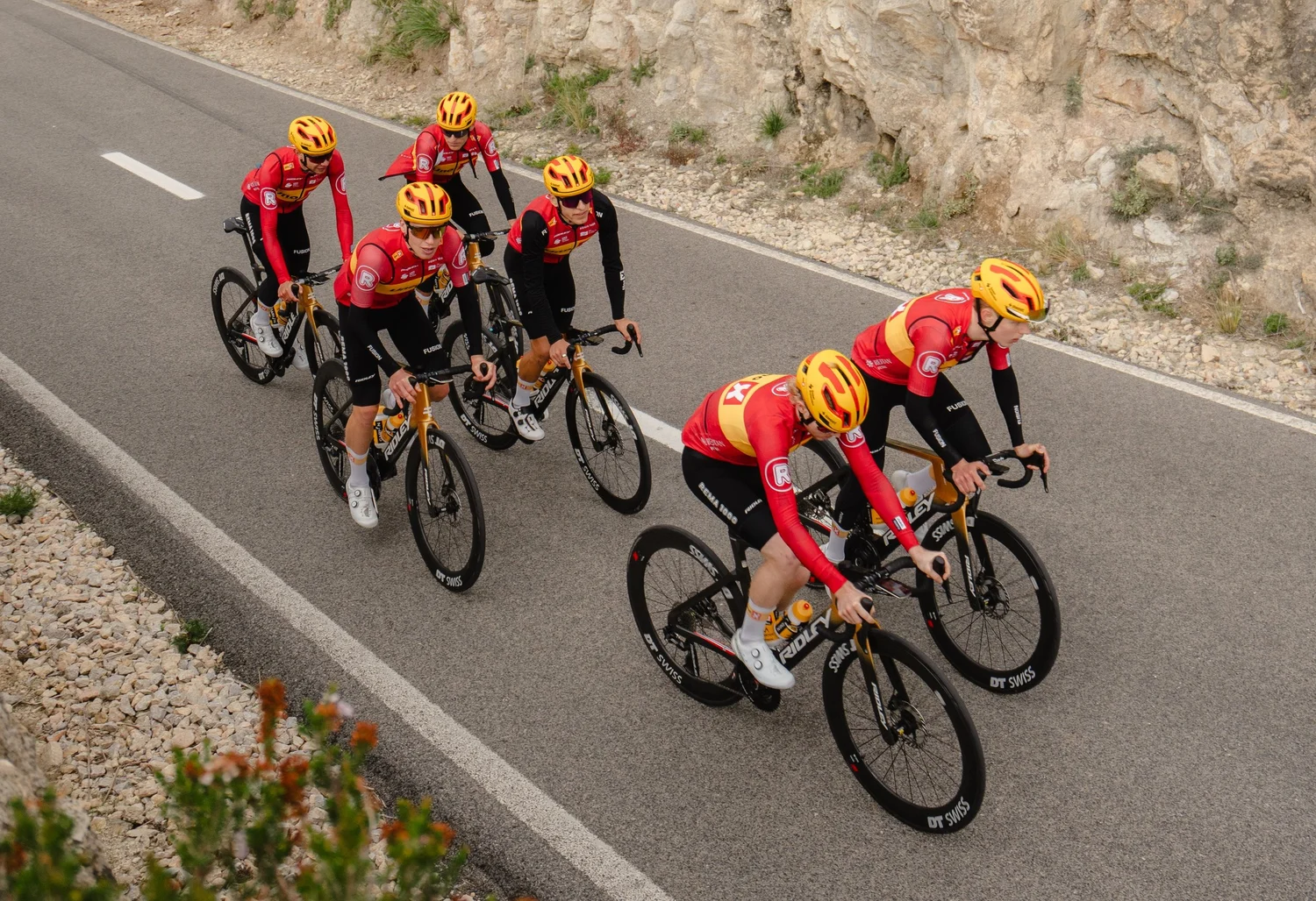 MEN PRO TEAM visual data 5