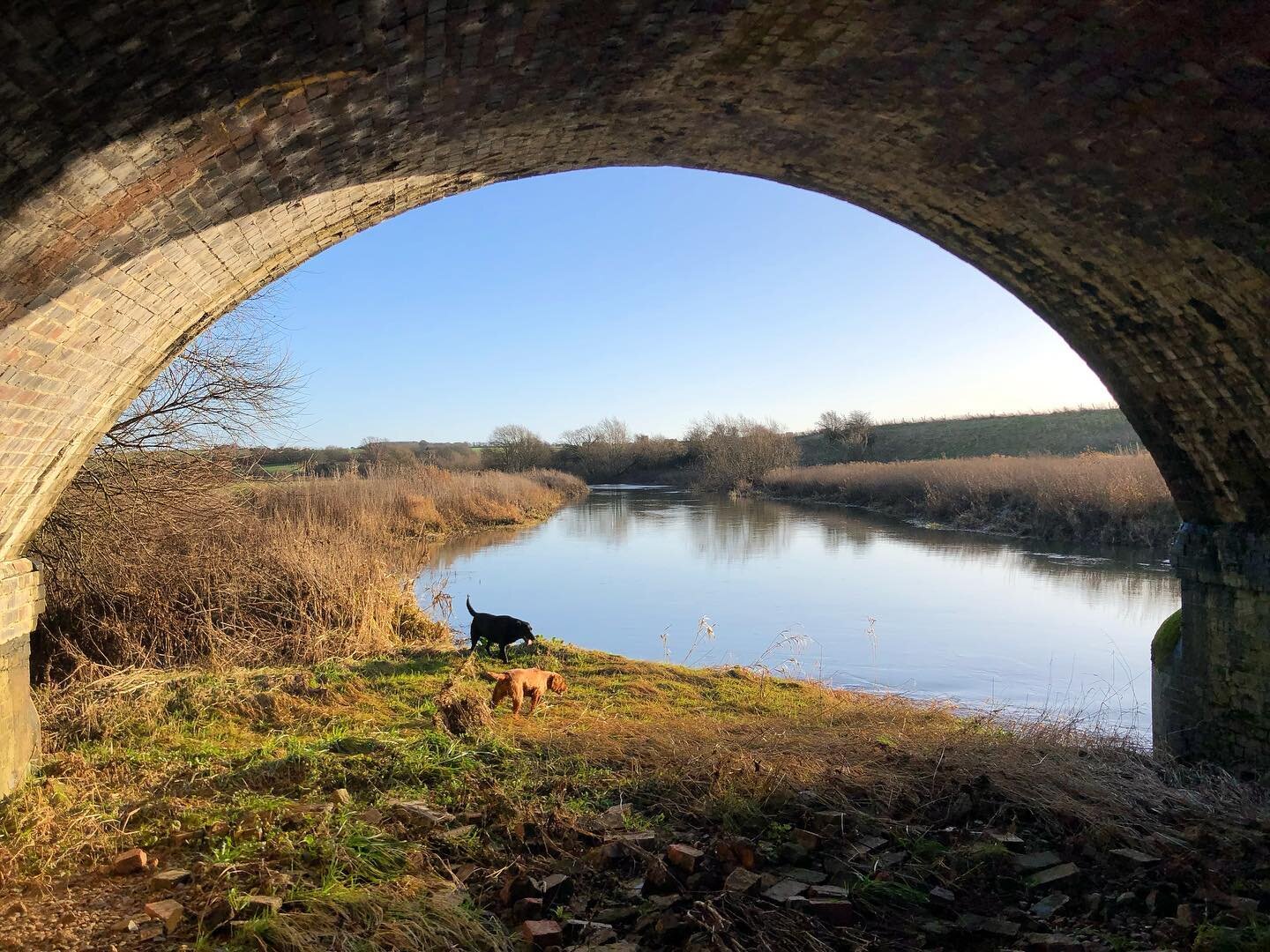 Sunday Strolls 🥾🐾
The farm here is bordered by the River Ouse, on a day like today it&rsquo;s absolutely glorious!
.
.
.
#lovewhereyoulive #nature #riverouse #sunday #sundaystrolls #dogwalks #bedfordshire #arches #calm #home #naturalbeauty #sunshin