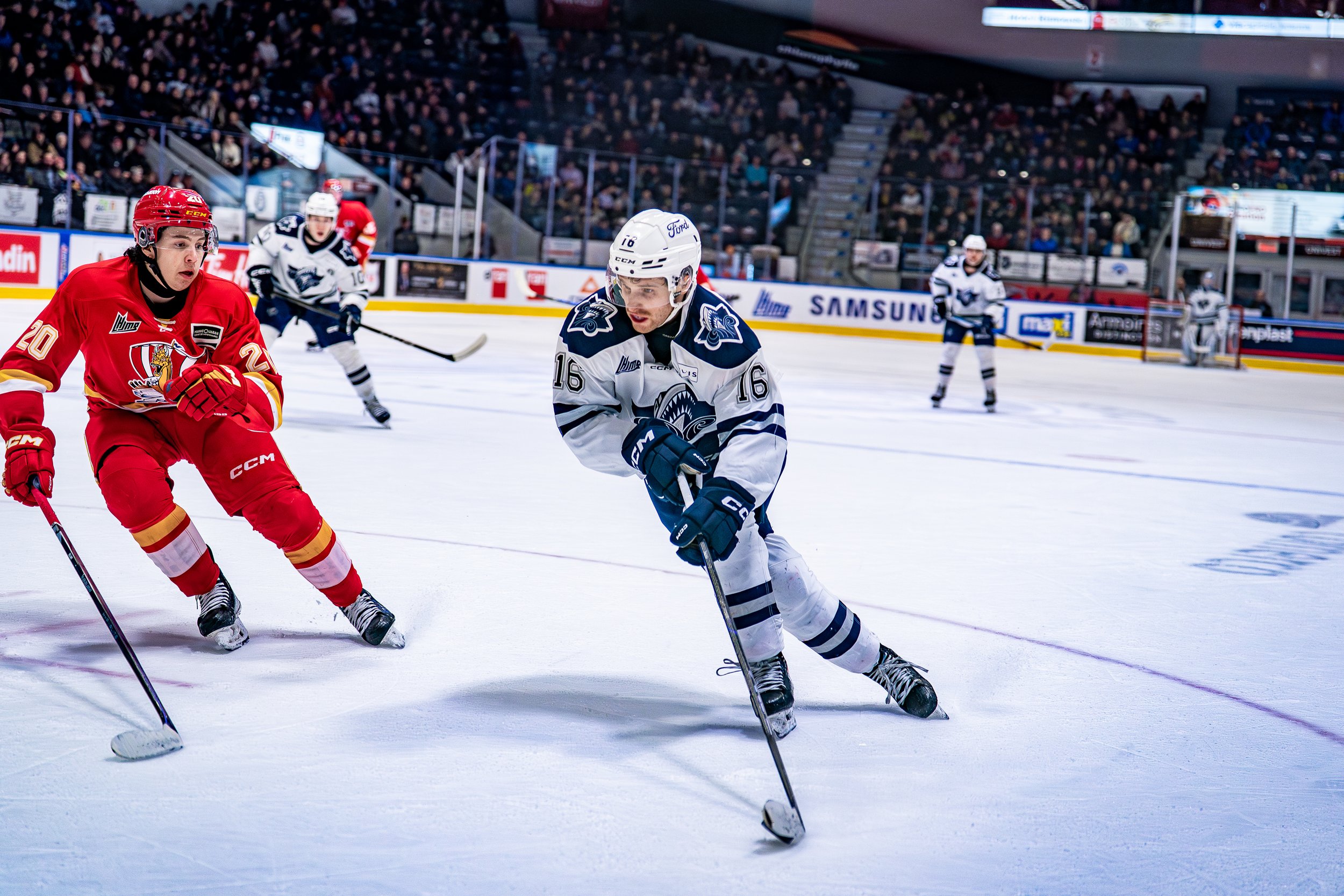 Jeu de hockey sur la glace avec joueurs en action, équipe en blanc et équipe en rouge, dans une arène pleine de spectateurs.