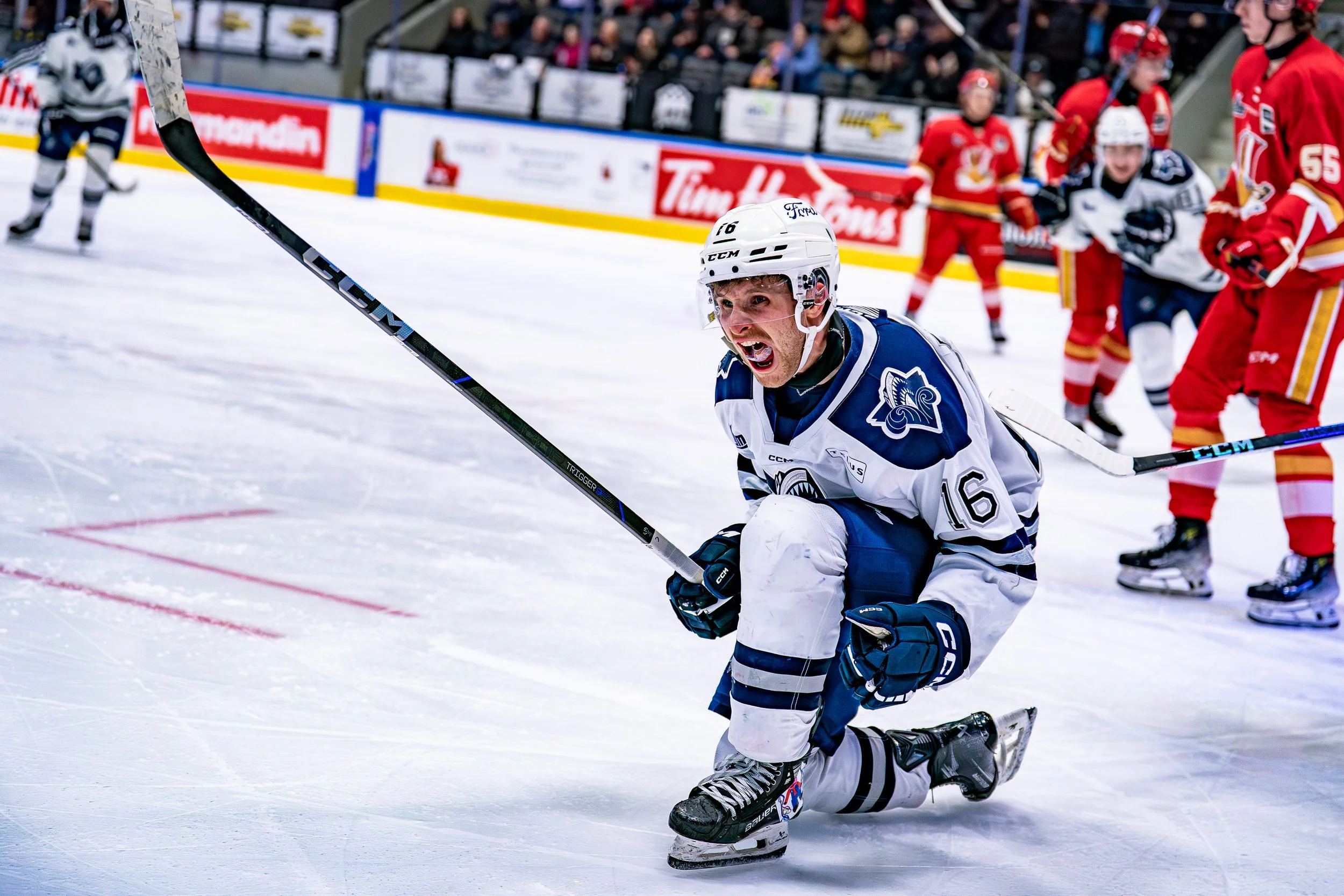 Un joueur de hockey en tenue blanche et bleue, portant le numéro 16, est à genoux sur la glace, manifestant une émotion intense, dans un match de hockey sur glace avec d'autres joueurs en arrière-plan.