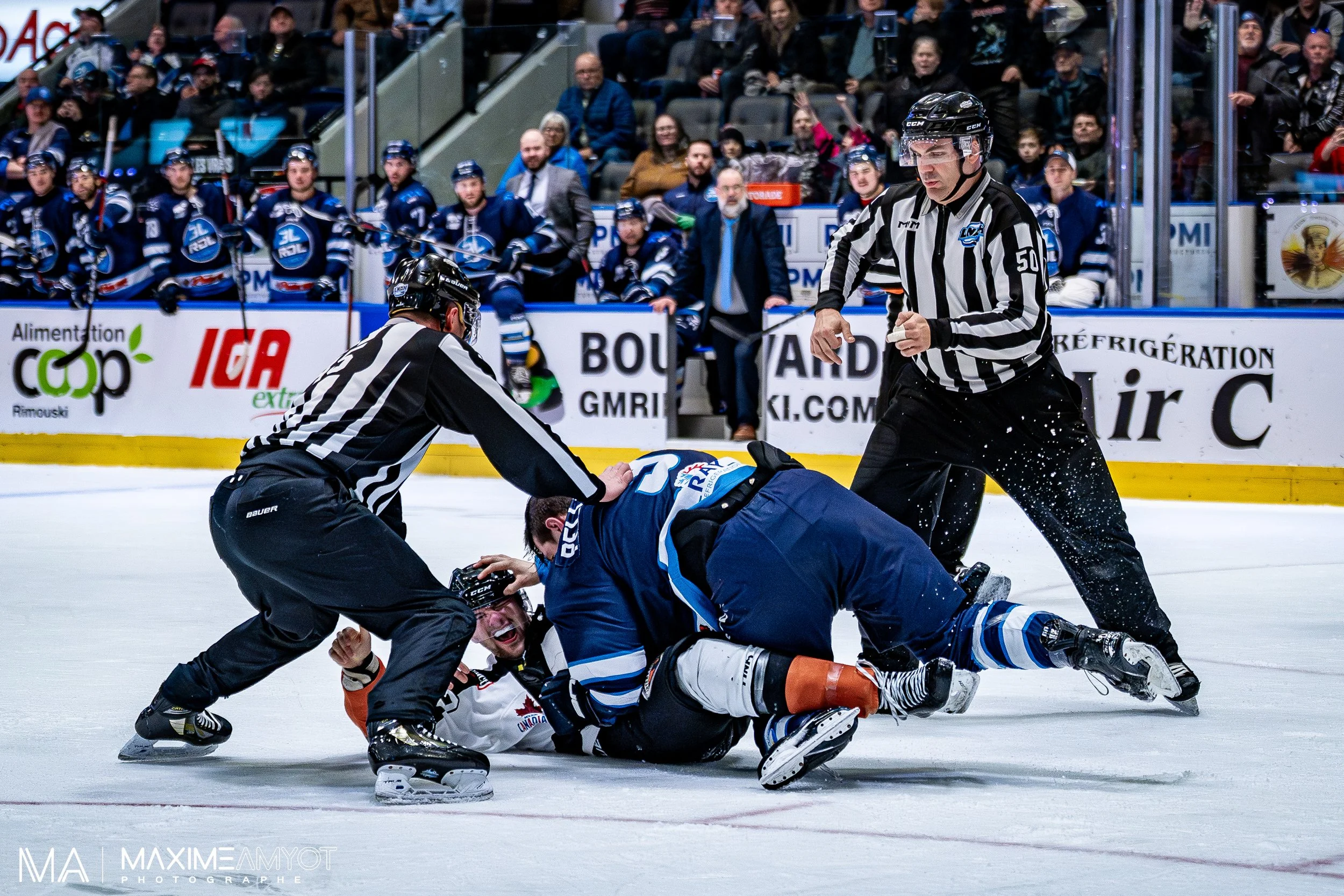 Deux joueurs de hockey s'engueulent au sol sur la glace, entourés par deux arbitres, pendant un match. Un banc de joueurs et des spectateurs sont visibles à l'arrière-plan.