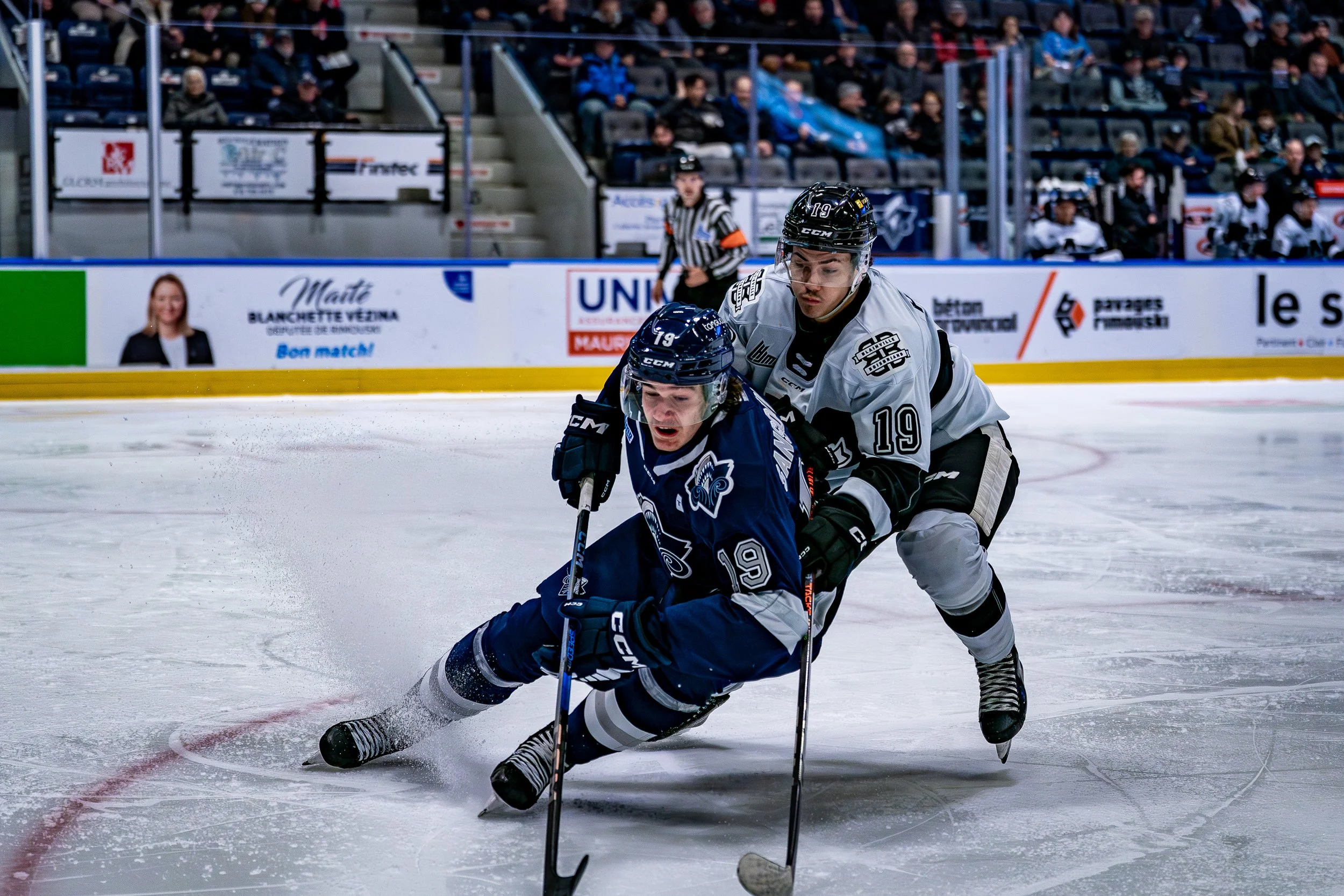Two ice hockey players in action during a game, one in a dark blue jersey and the other in a white jersey, competing for puck control on the ice rink, with audience members visible in the background.