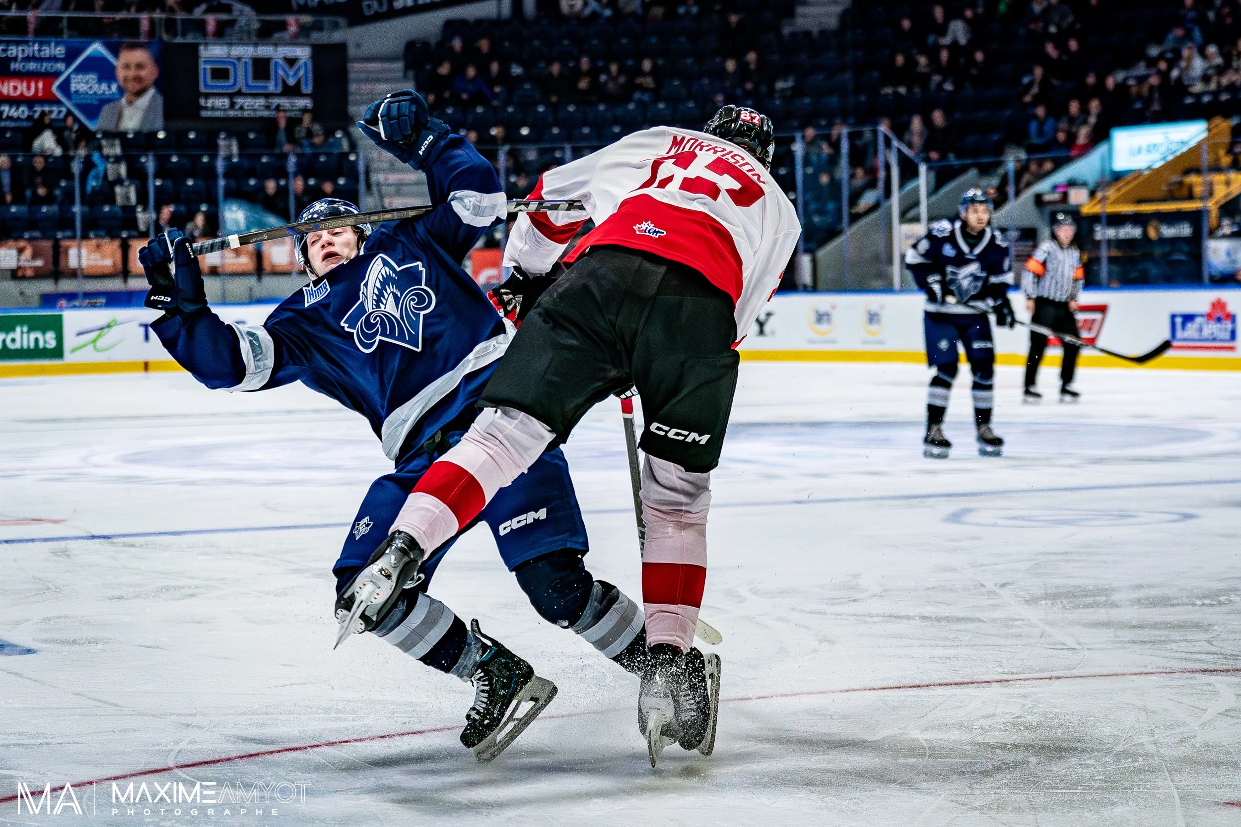 Two ice hockey players in a fight on the ice rink, with other players and spectators in the background.