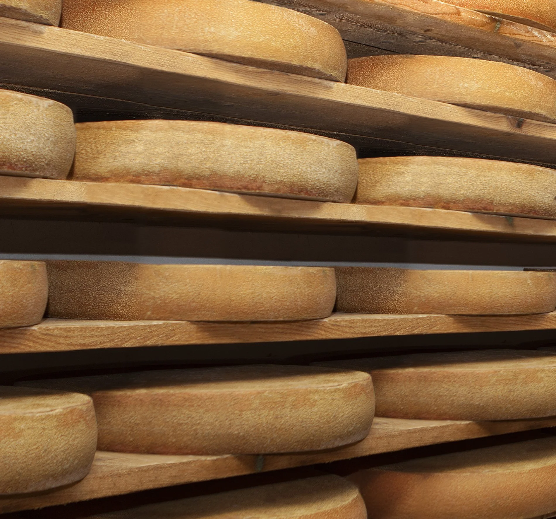 Gal-21_KäseCaspar_Käsekeller Schönenbach_4557_©Marianne Greber.jpg