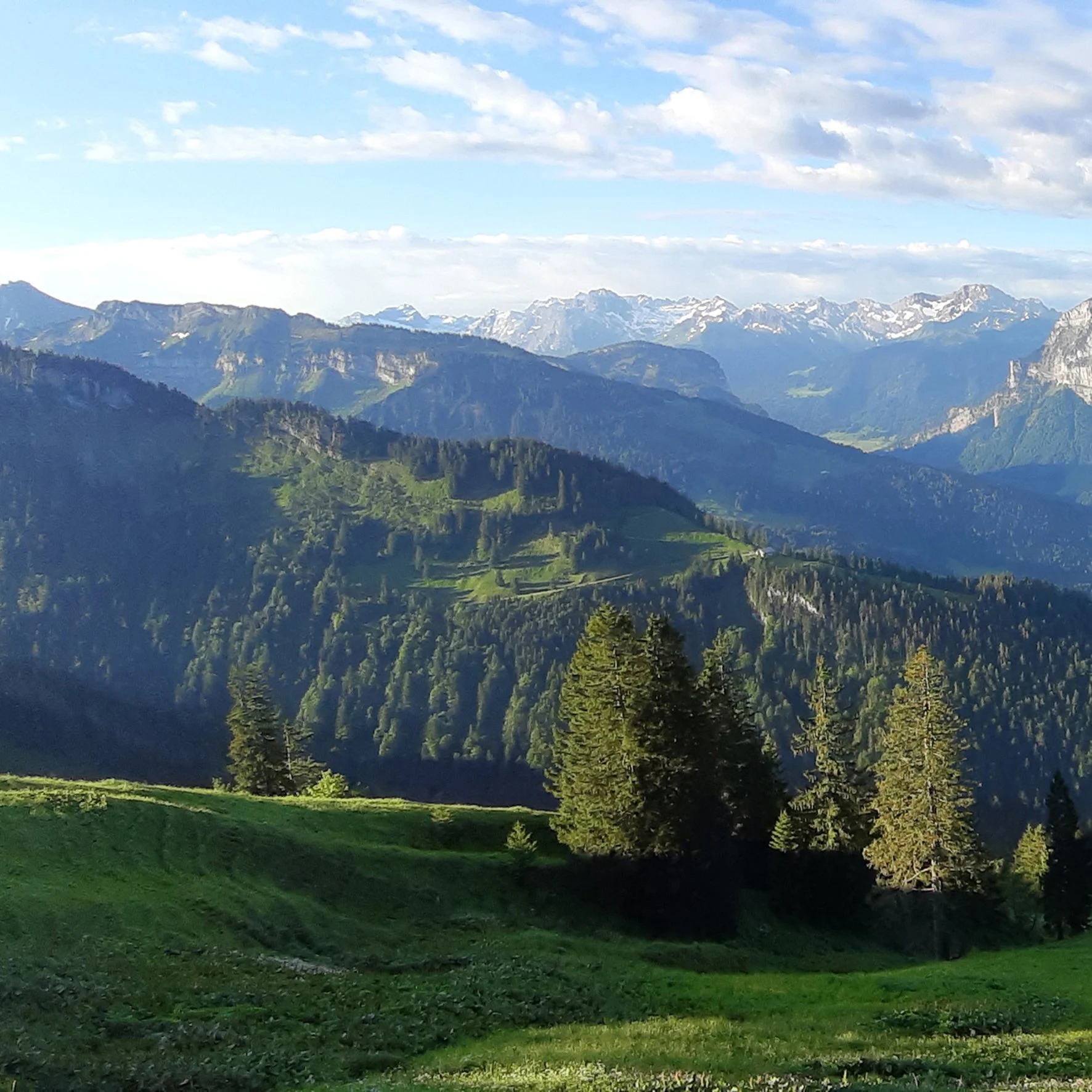 Gal-1_KäseCaspar_Hintere Niedere_20220530_065902_©KäseCaspar.jpg