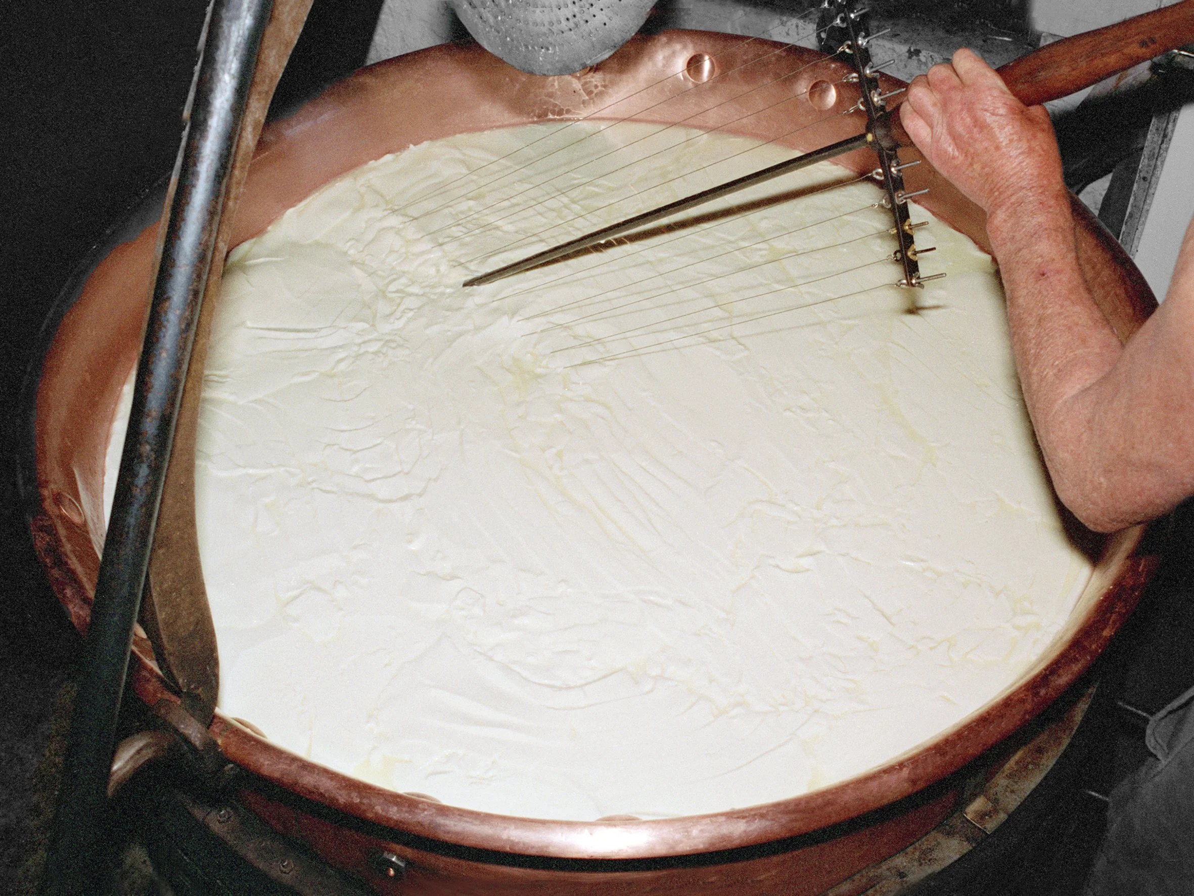 Gal-9_KäseCaspar_Alpe Sack_1994_S17_©Marianne Greber.jpg