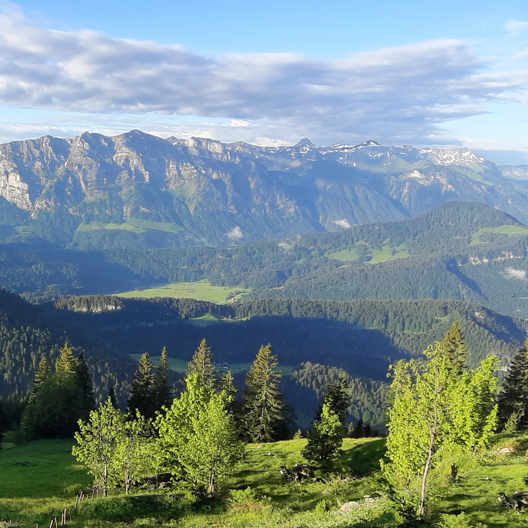 Gal-2_KäseCaspar_Hintere Niedere_20220530_065902_©KäseCaspar.jpg