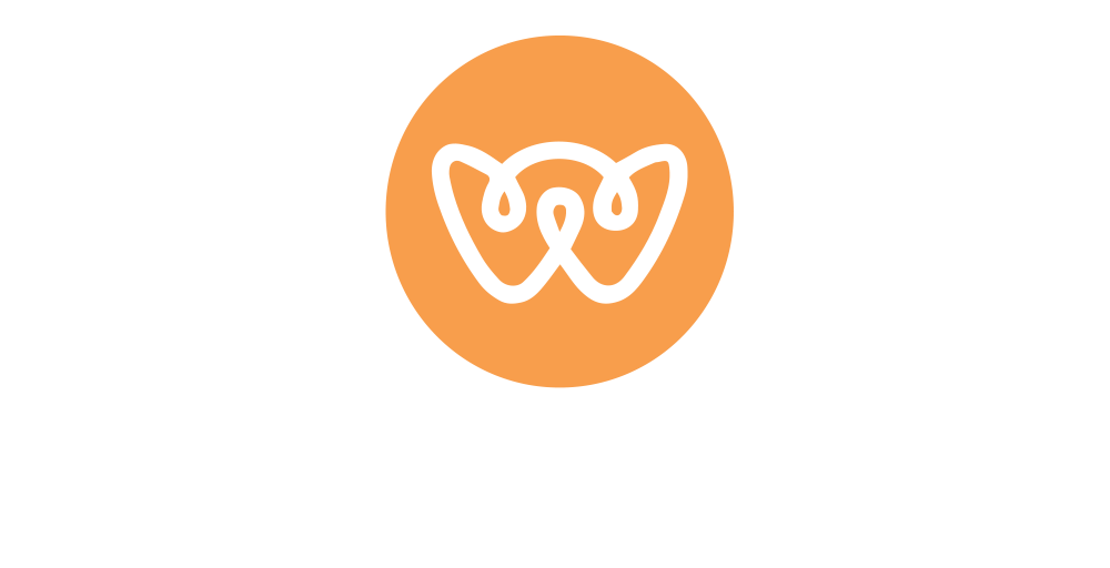 Wonder Career