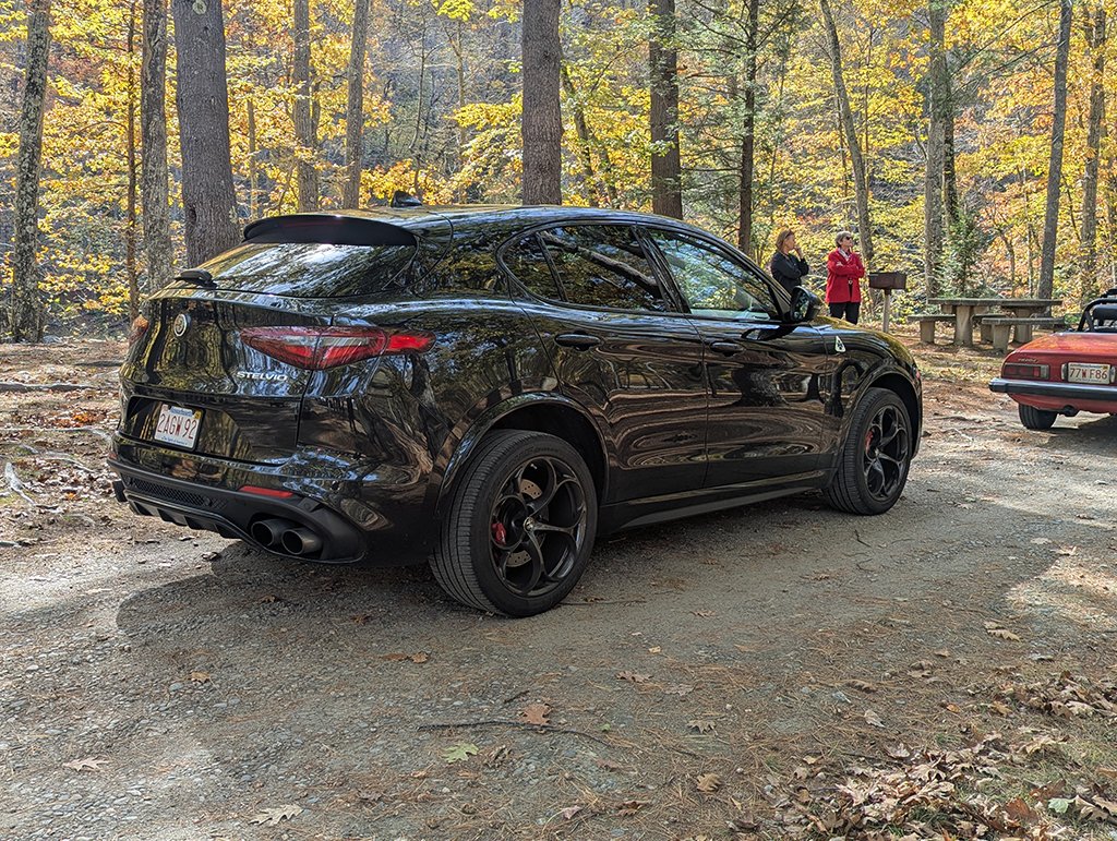 The other Stelvio QV