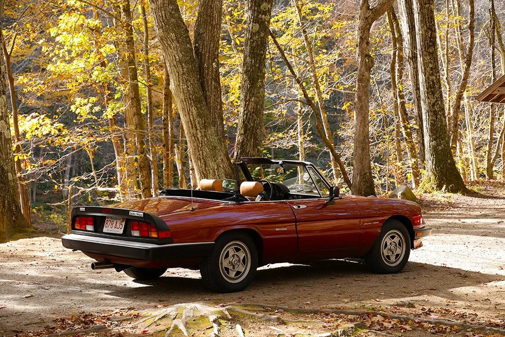 Some of our cars enjoy a rest at the picnic area