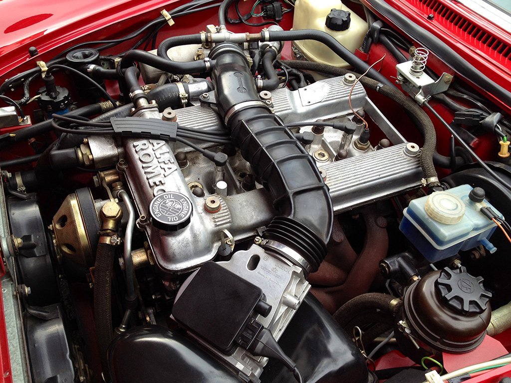 Woodruff Spider 5.JPG