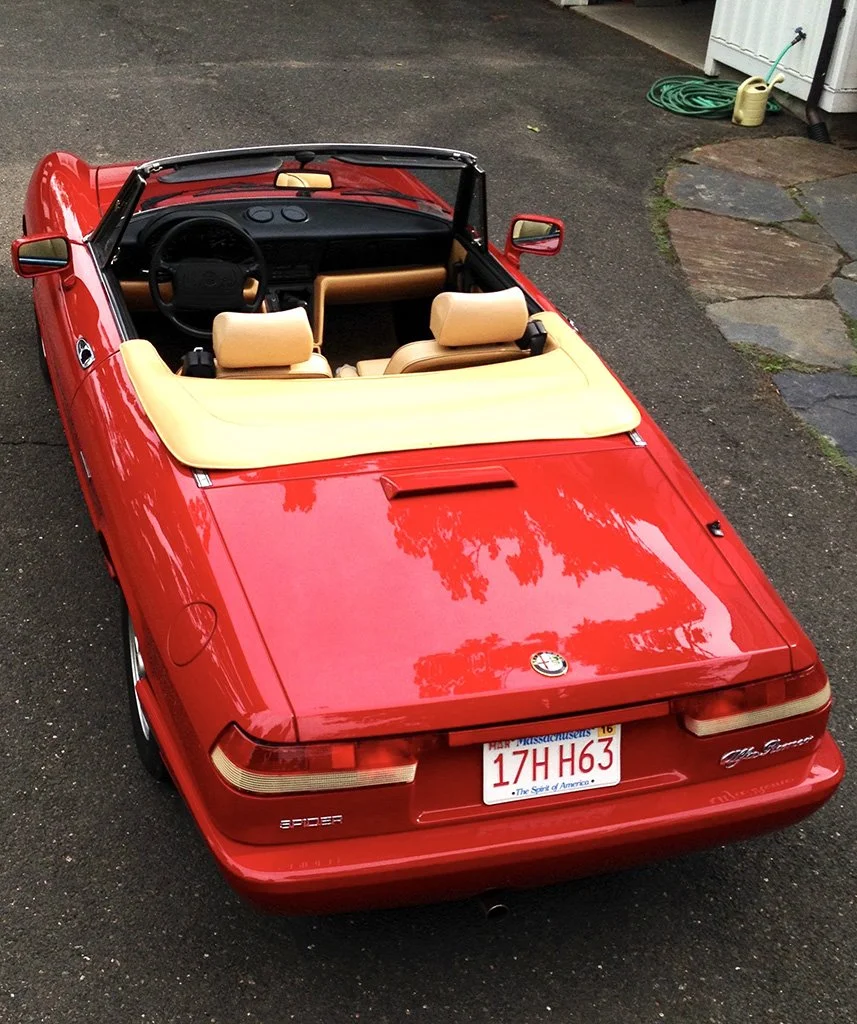 Woodruff Spider 6.JPG