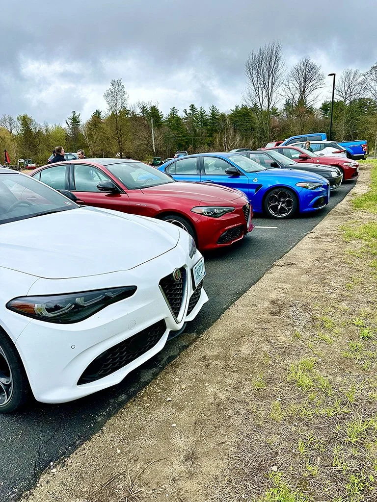 Guilias in a line