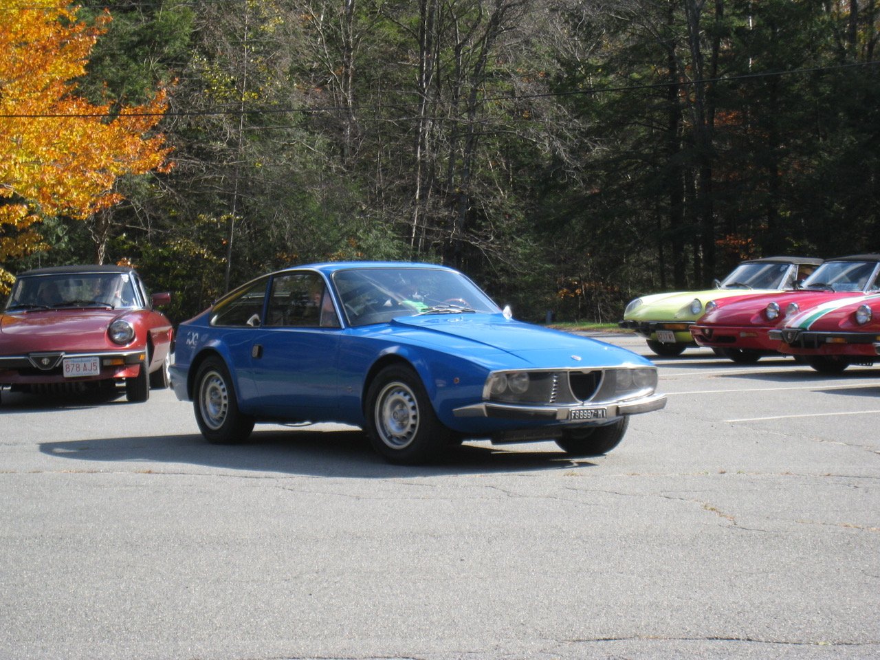 A couple of photos of Fred's Junior Zagato