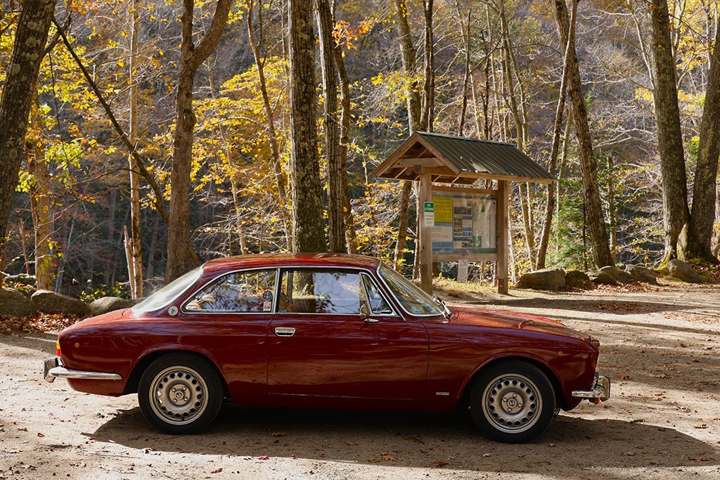 Some of our cars enjoy a rest at the picnic area
