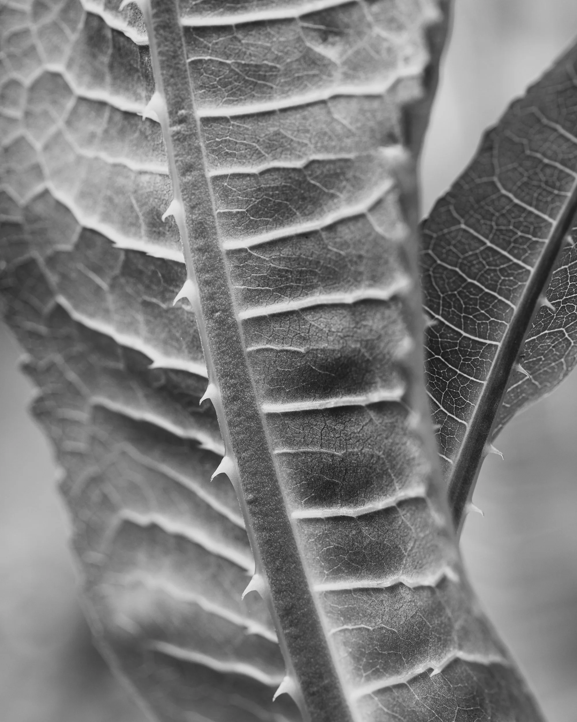 20220206-website-images  (1 of 2).jpg