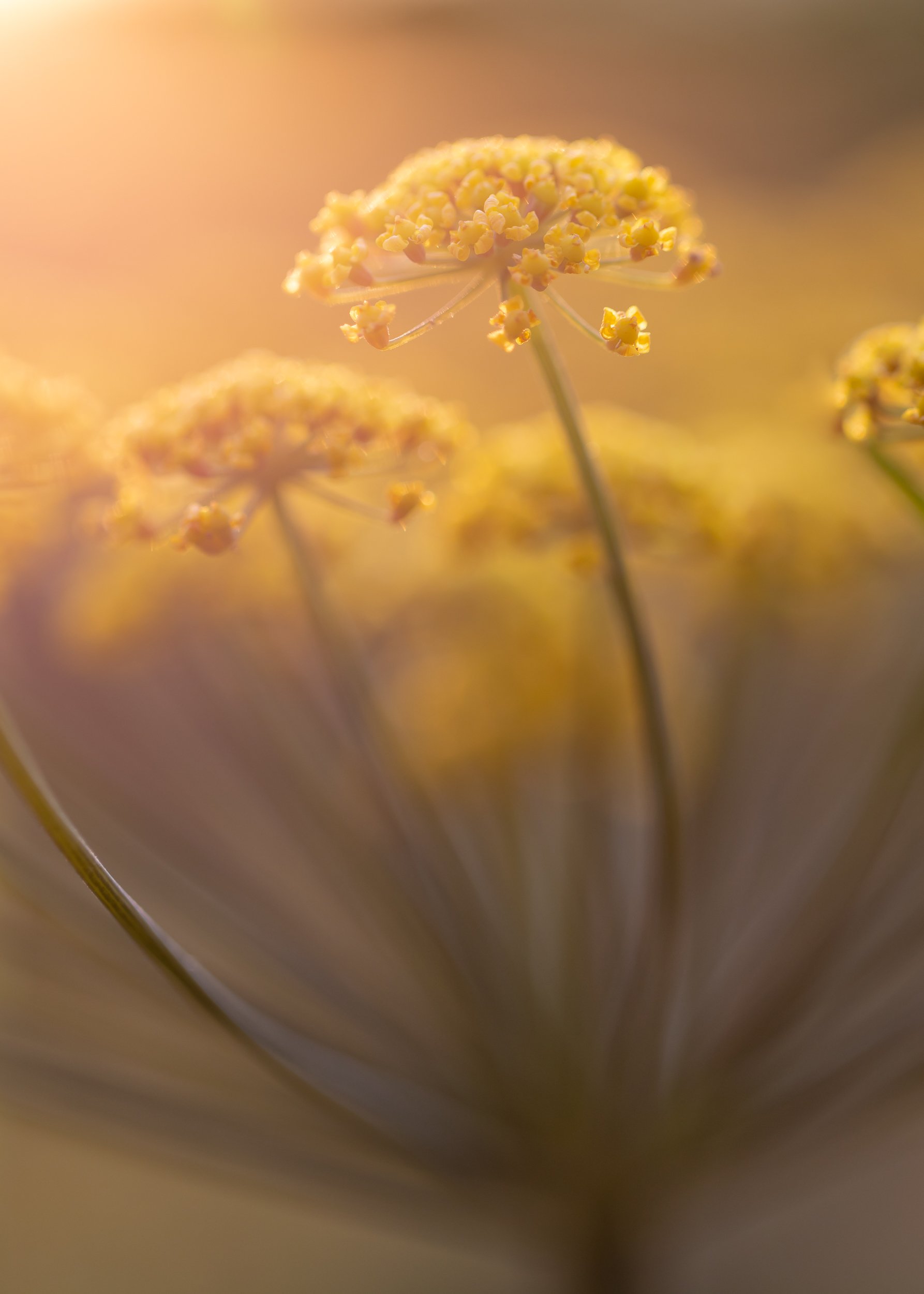 20220206-website-images  (2 of 2).jpg