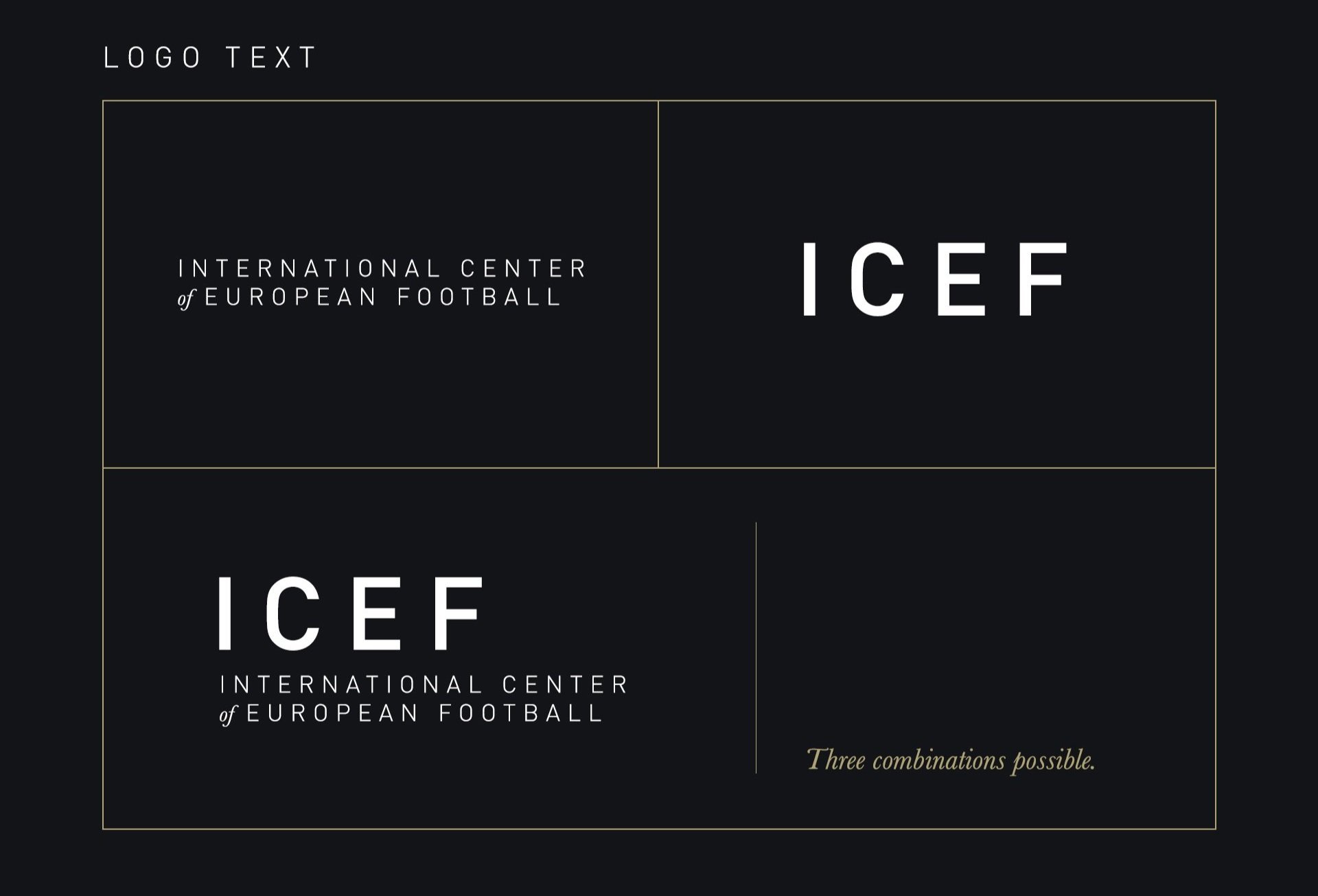 3-ICEF.jpg