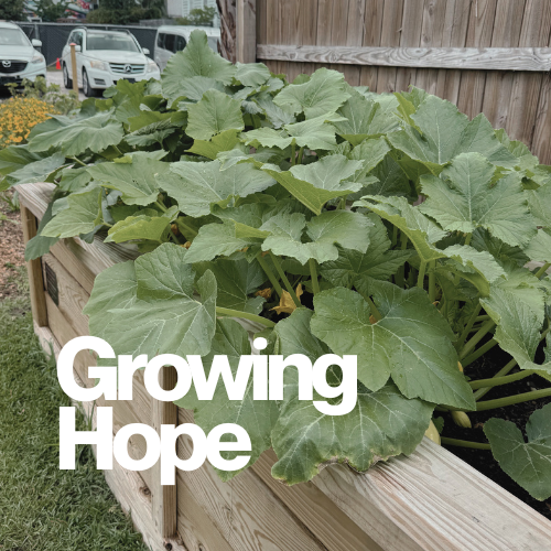 Growing More Than a Garden