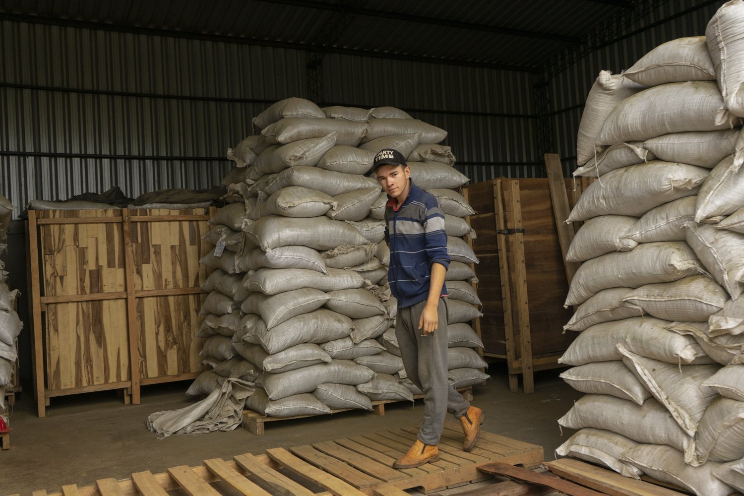 (Castellano abajo) In addition to being an agroecological product, Oñoirũ’s yerba mate differs from other yerba mate because it is aged for two years before being packaged to go on sale. This last step is key in defining its quality and unique flavor