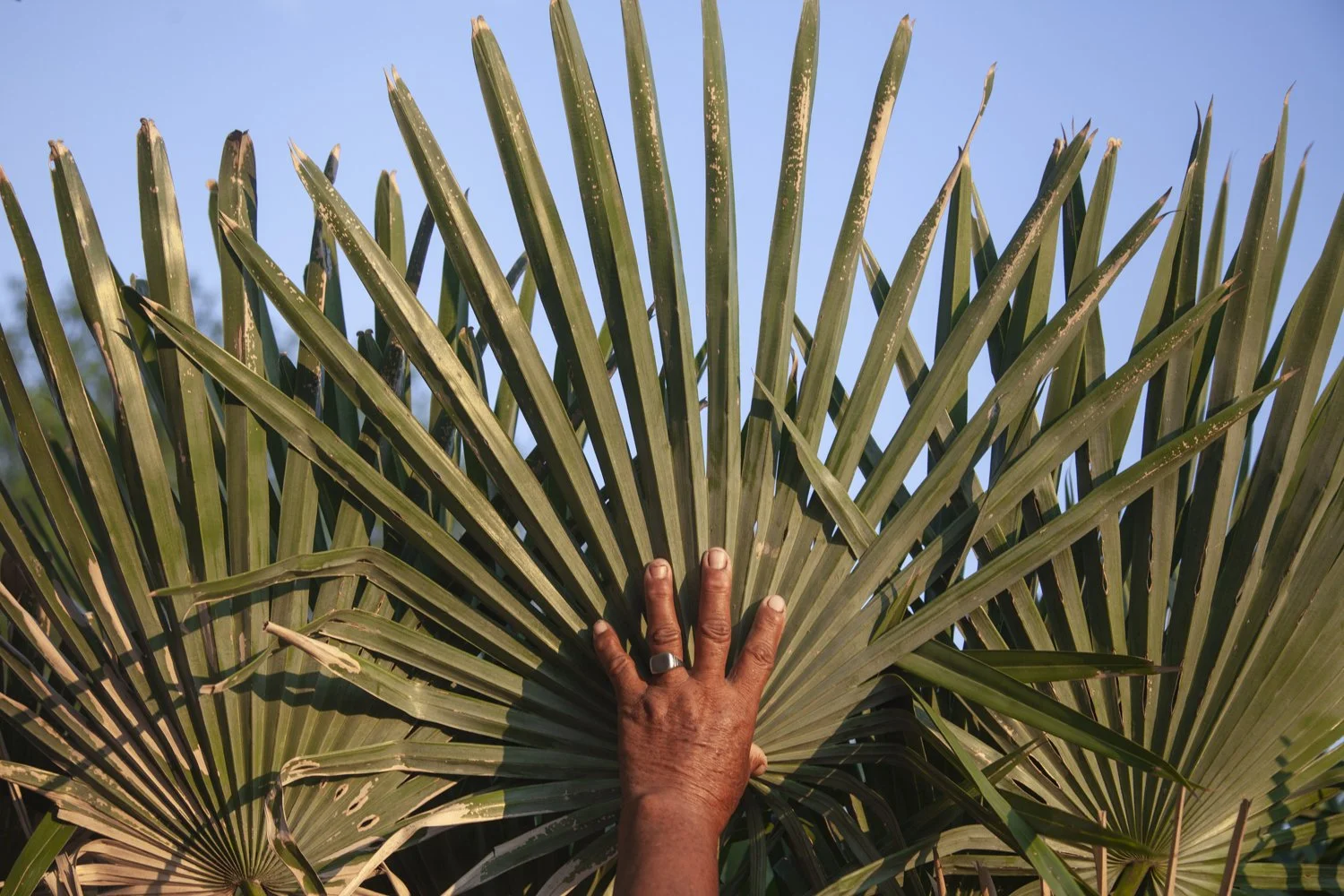 Mayeli Villalba-11.jpg