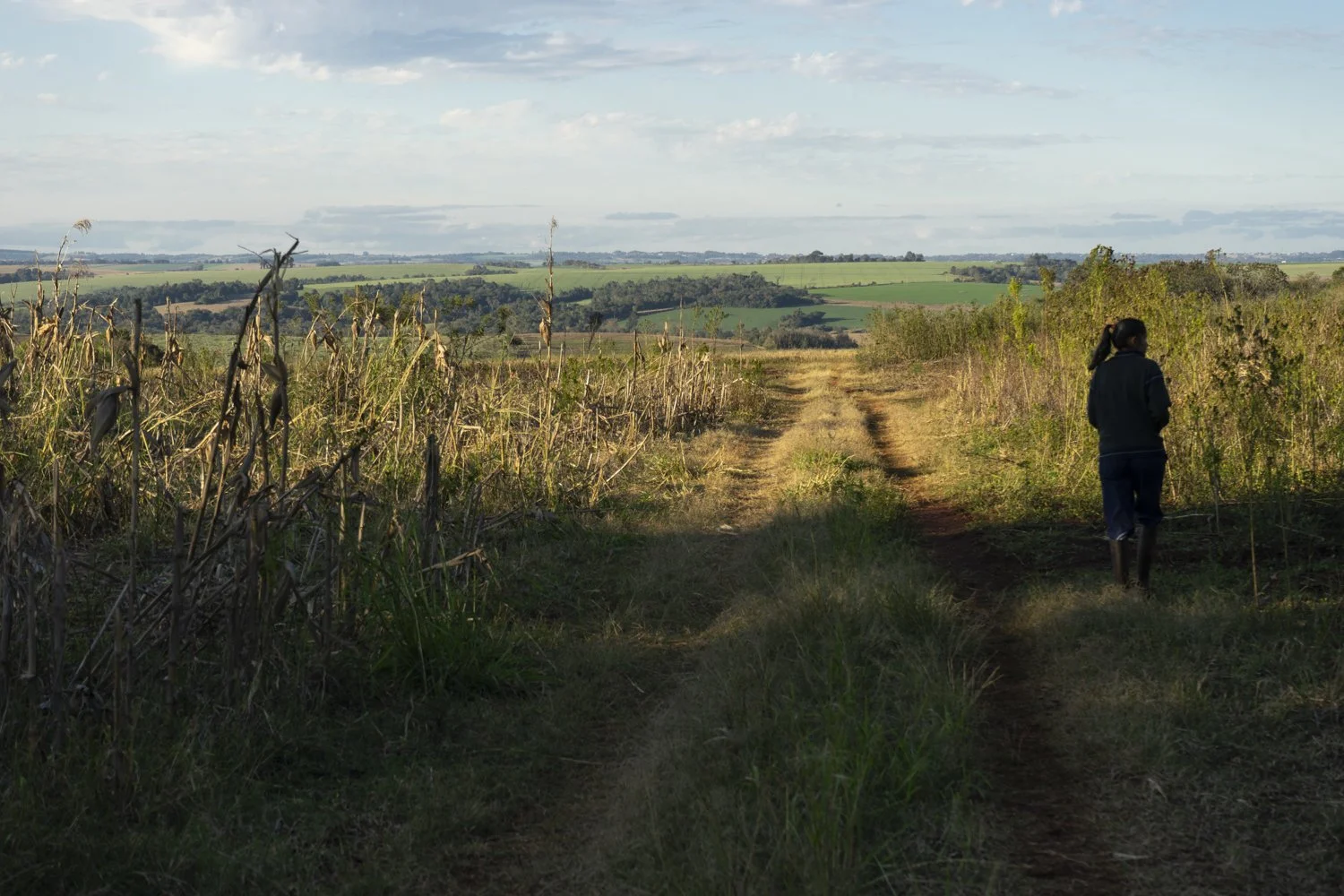 (Castellano abajo) The Paraguayan landscapes are full of consequences of agribusiness.
.
Los paisajes paraguayos están llenos de consecuencias de la agroindustria.