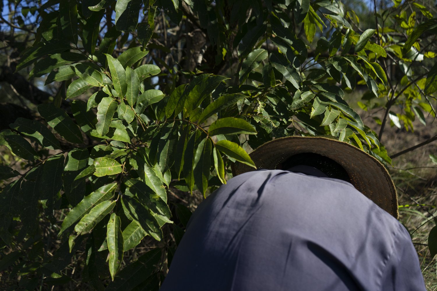 Mayeli Villalba-6.jpg