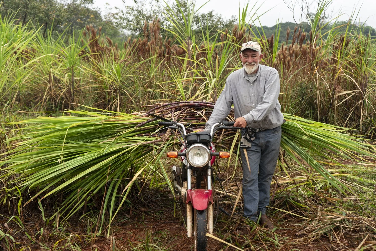 (Castellano abajo) Ireneo Vega is one of the founders of Oñoiru. In addition to producing yerba mate, he also cares for and harvests the association's agroecological sugarcane crops.
.
Ireneo Vega es uno de los fundadores de Oñoiru. Además de produci