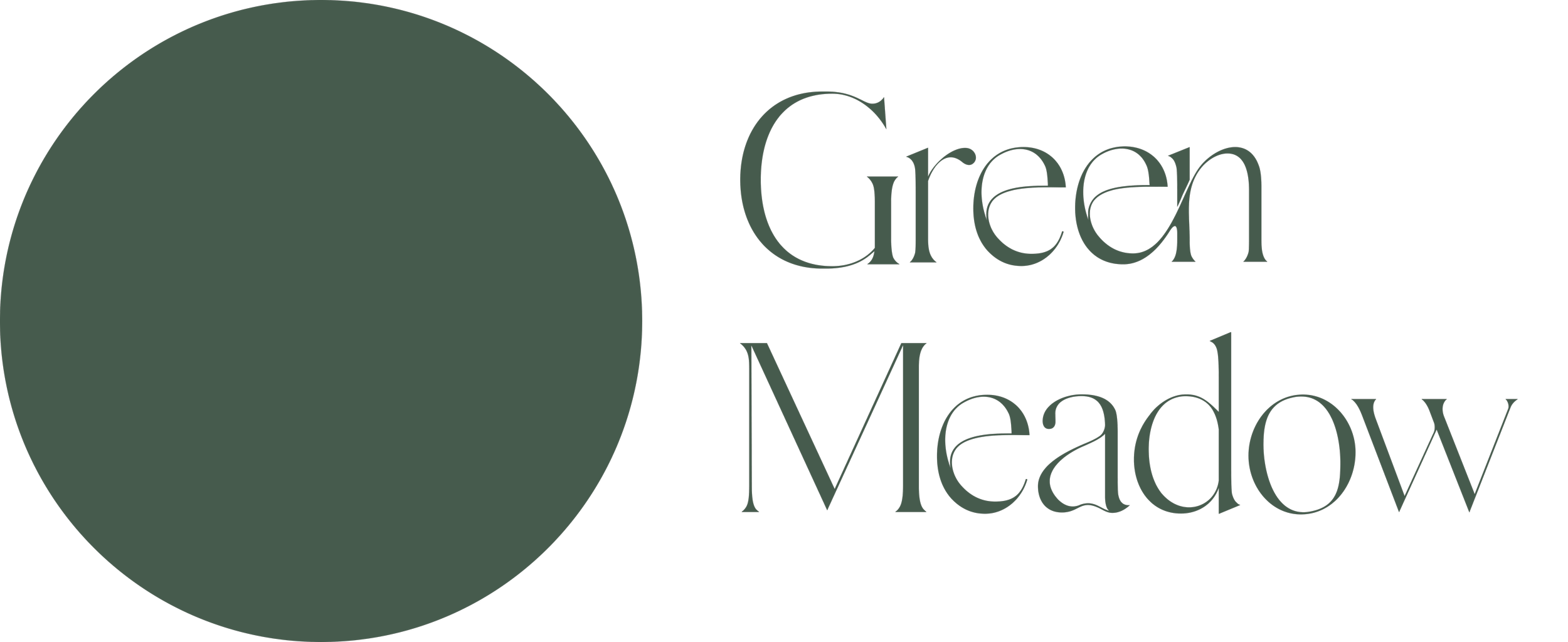 Green Meadow Ventures