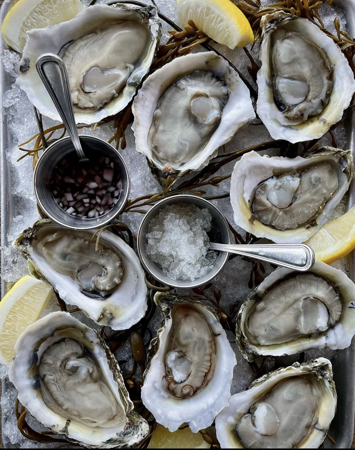 Fair Haven Oyster Co.