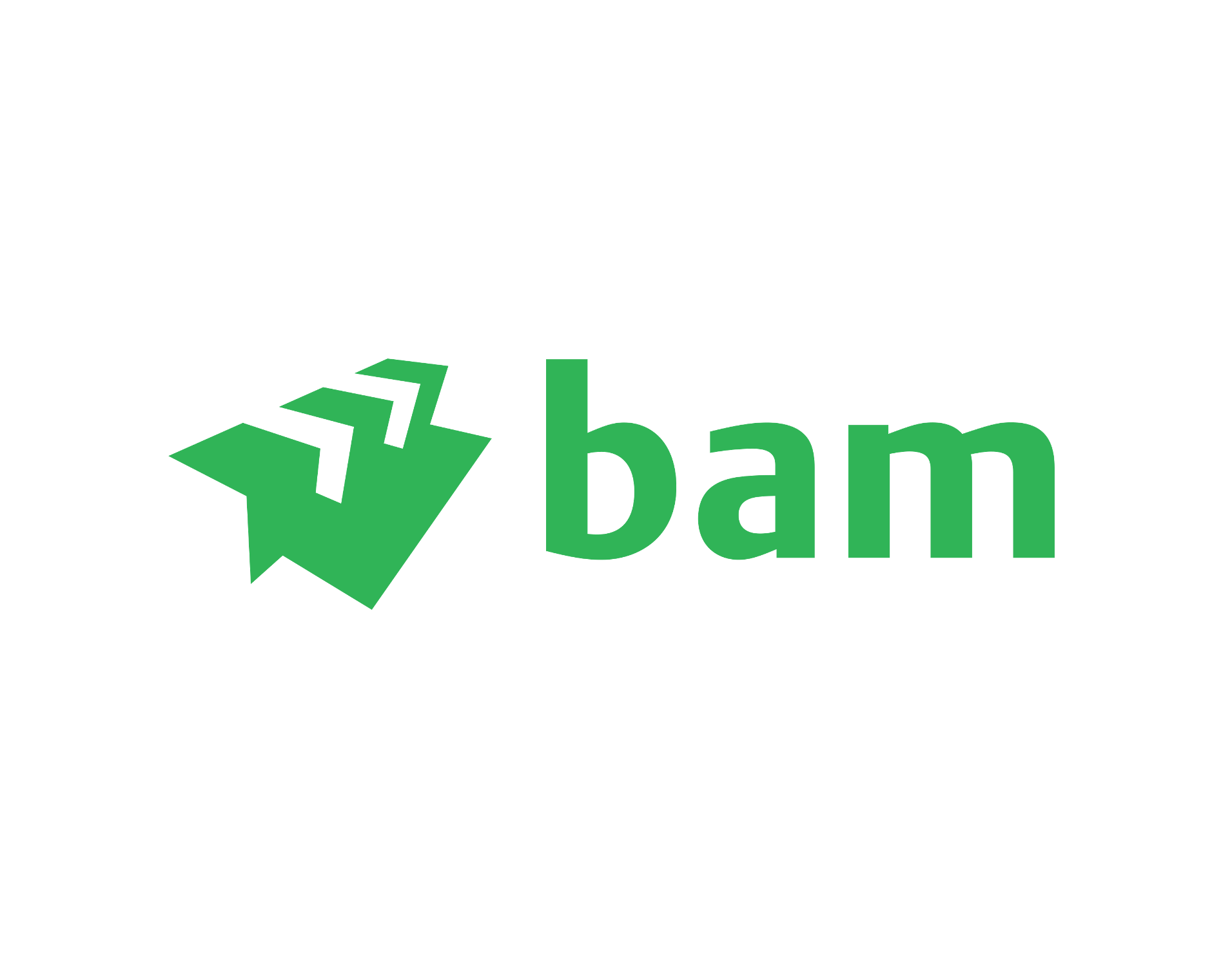 BAM Construction