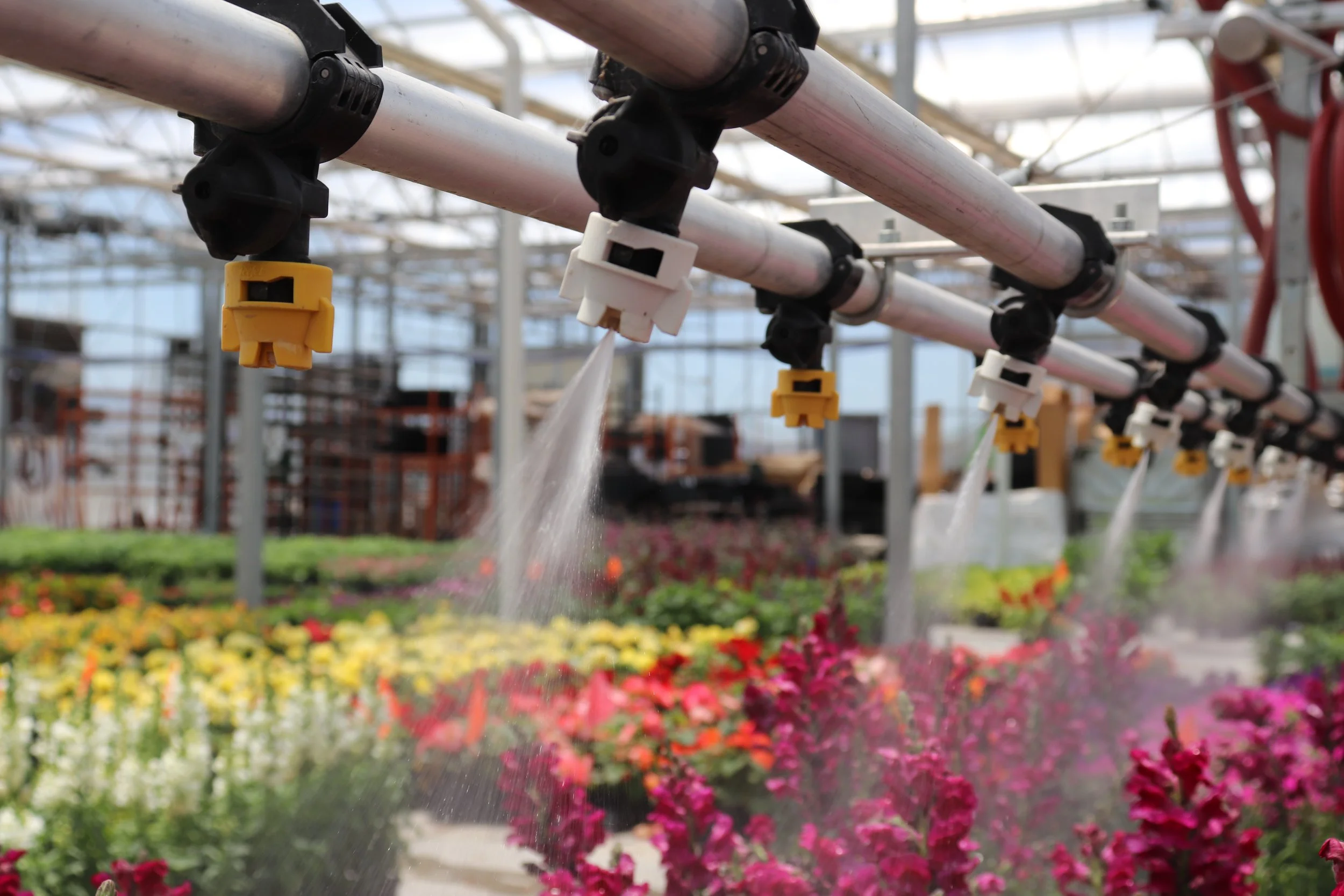Irrigation system spraying a crop with water