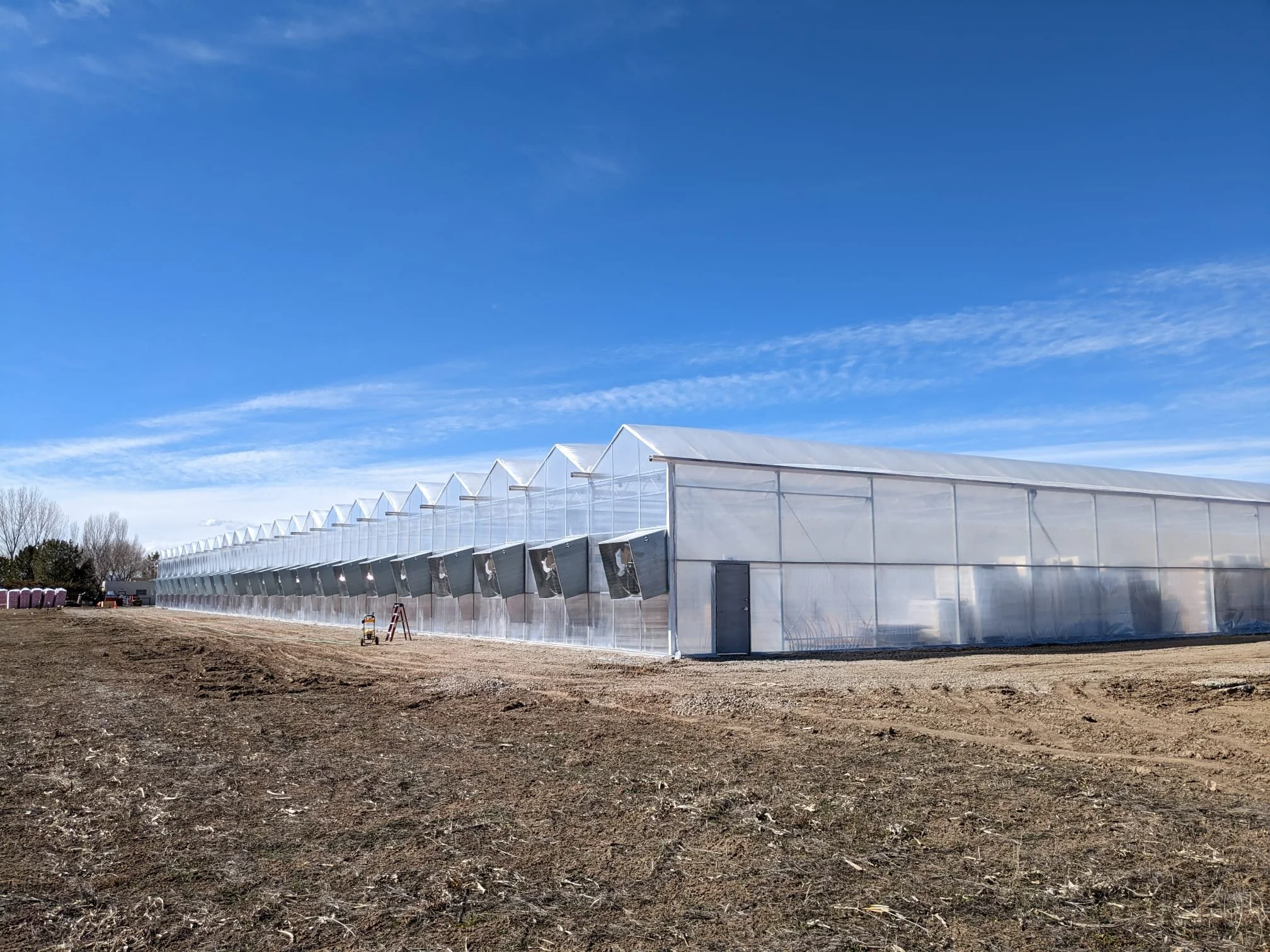 Working in Our Greenhouse