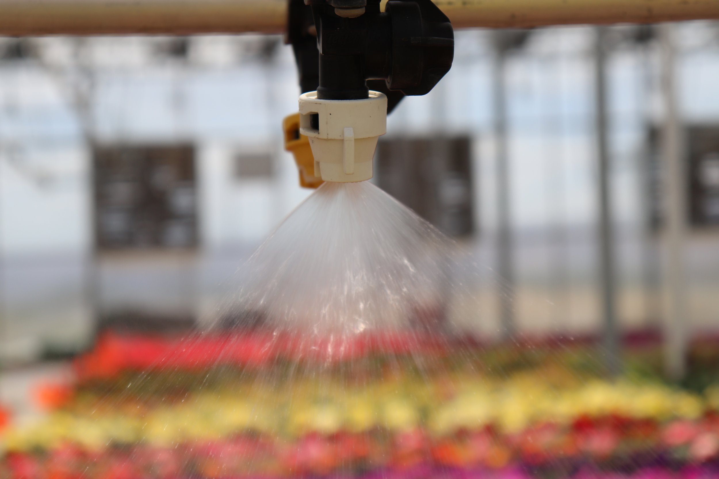 Every Drop Counts: Why Water Stewardship Matters at Win Gardens