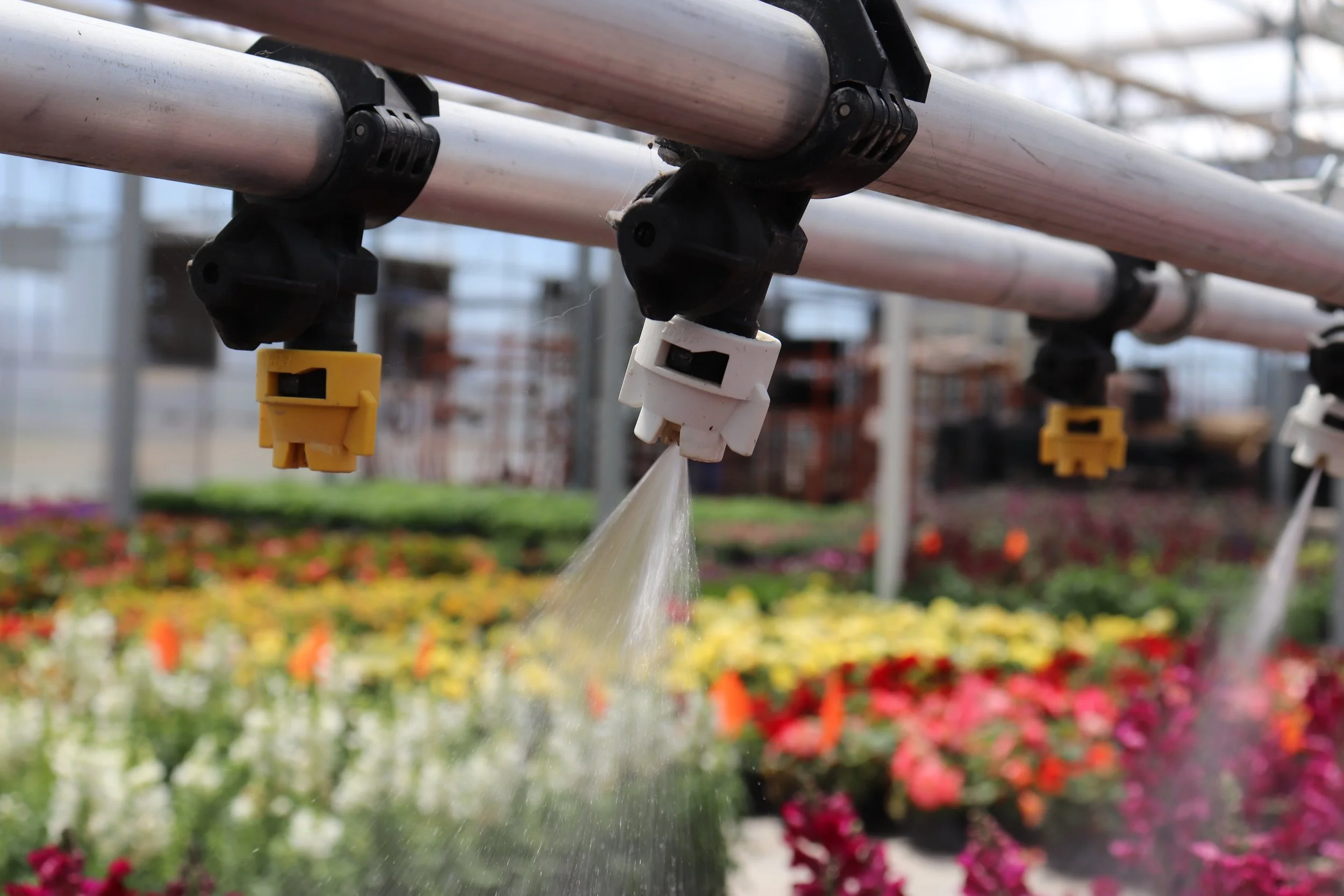 KKCO: Drought conditions impact plant orders at Colorado greenhouse