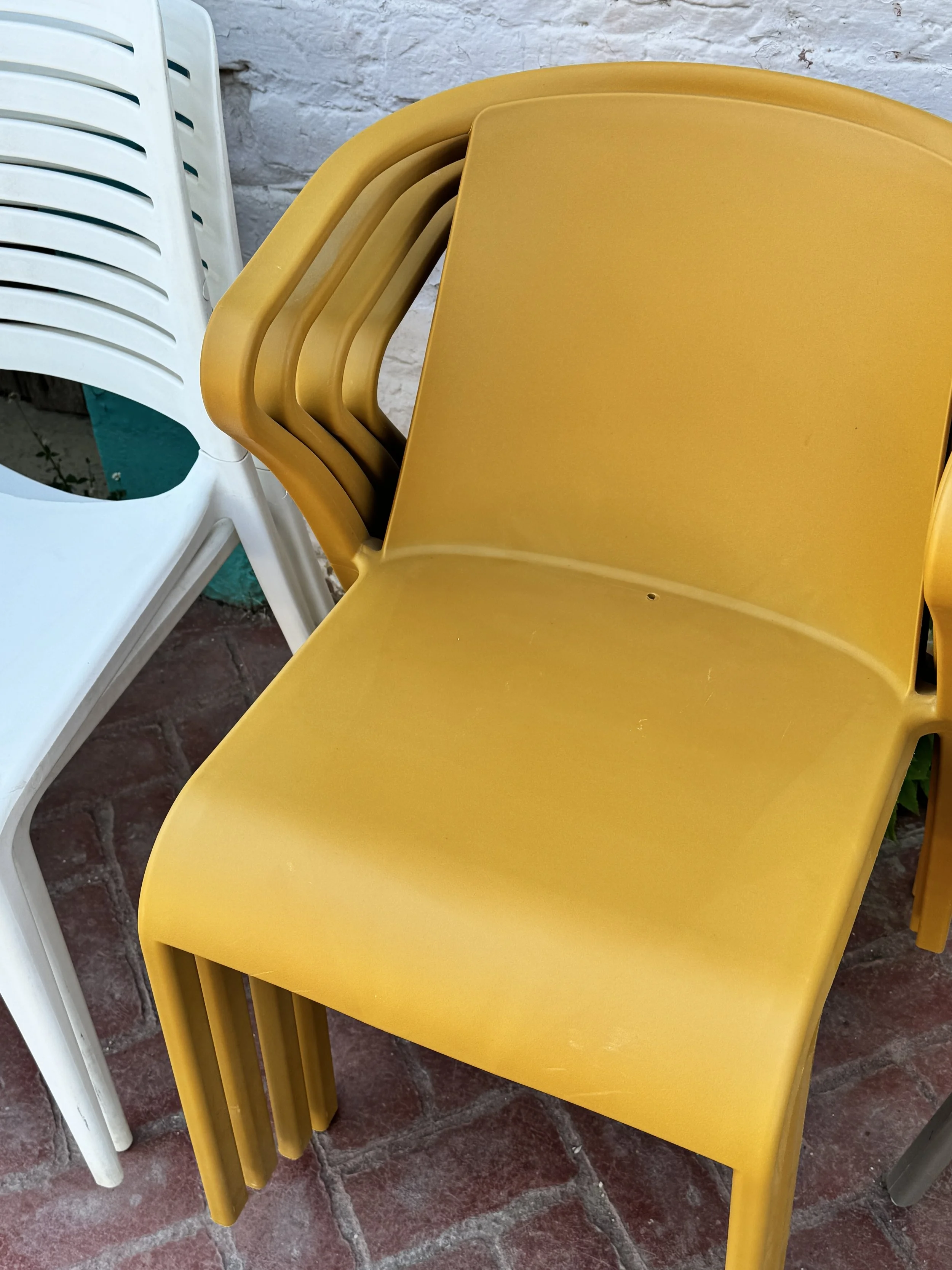 Park White, Fado Mostaza